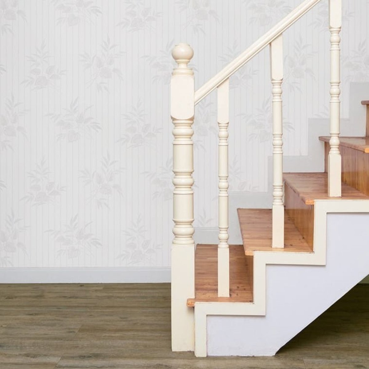 Marburg | Novamur Trendy | 99388 Marburg | Novamur Trendy | 99388