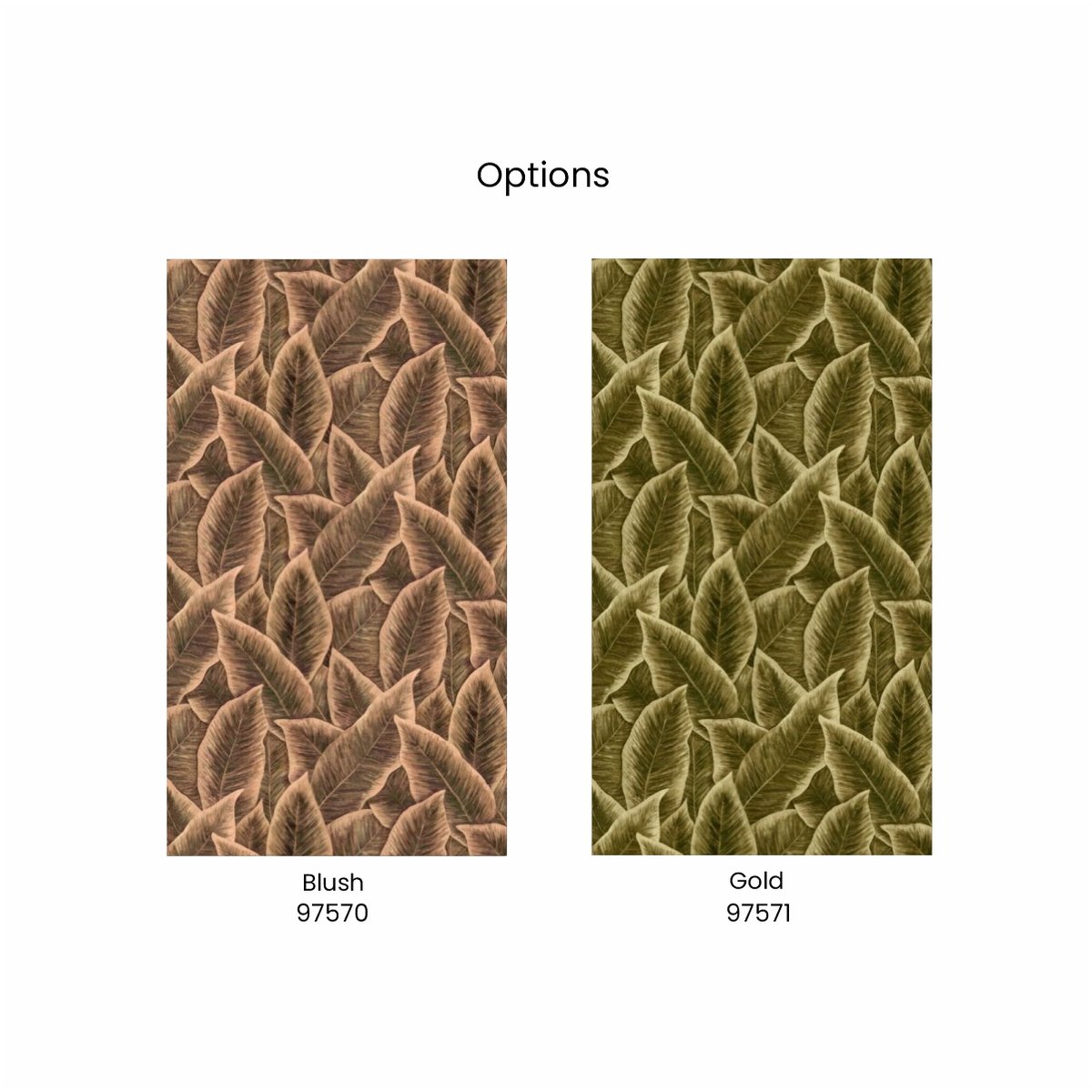 Arte | Décors & Panoramiques | Bird of Paradise I Arte | Décors & Panoramiques | Bird of Paradise I