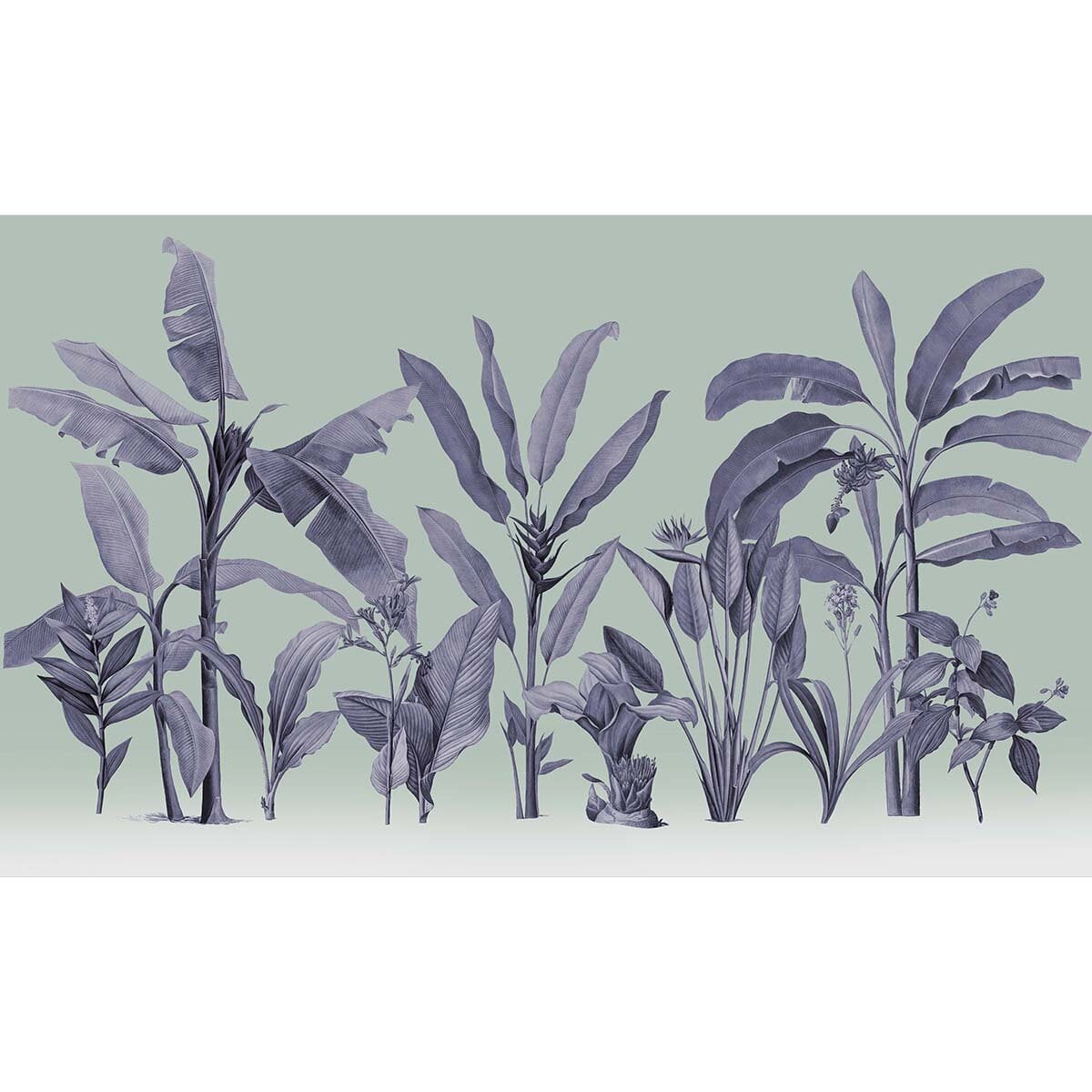Honpo | Botanical Honpo | Botanical