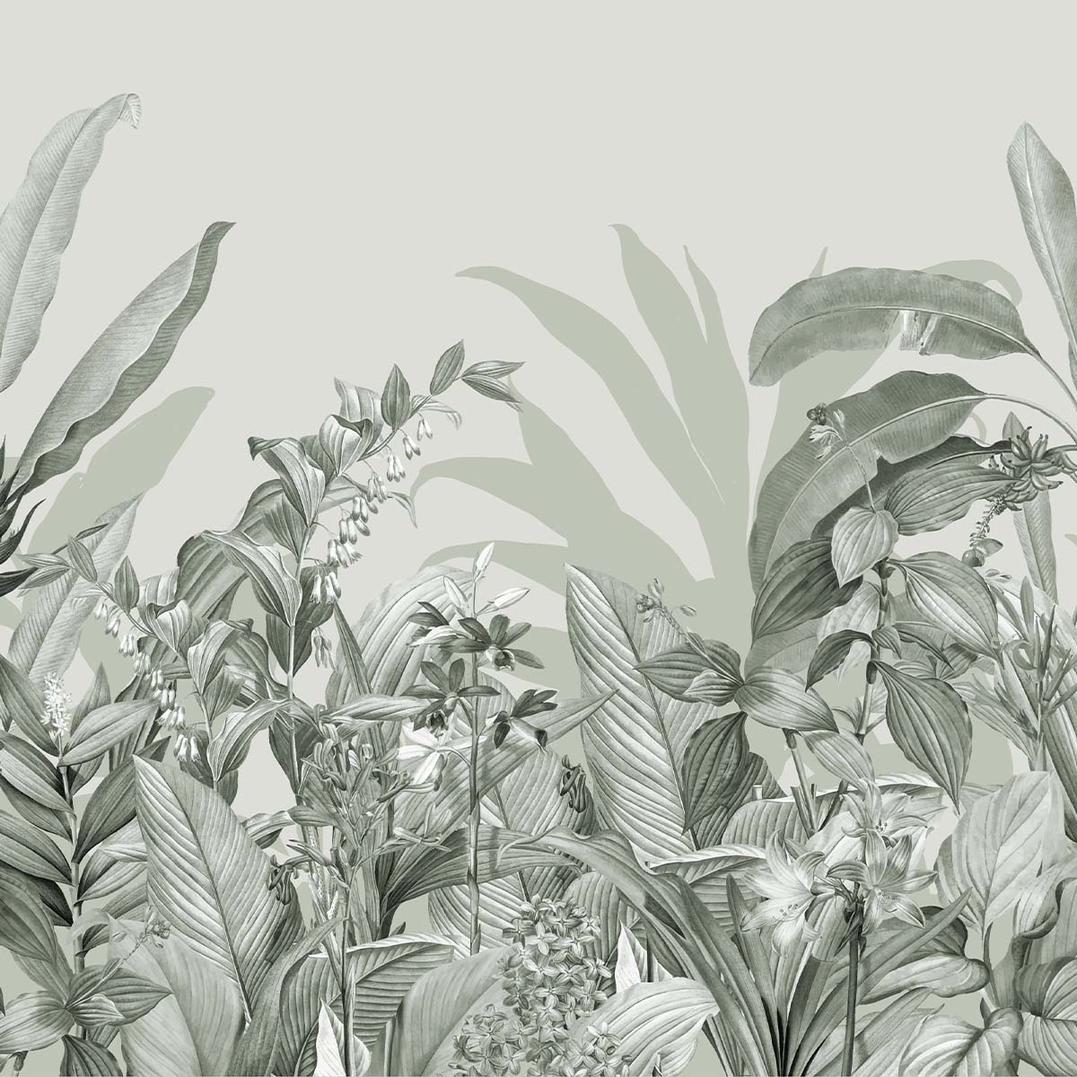 Honpo | Biophilia Fern Honpo | Biophilia Fern