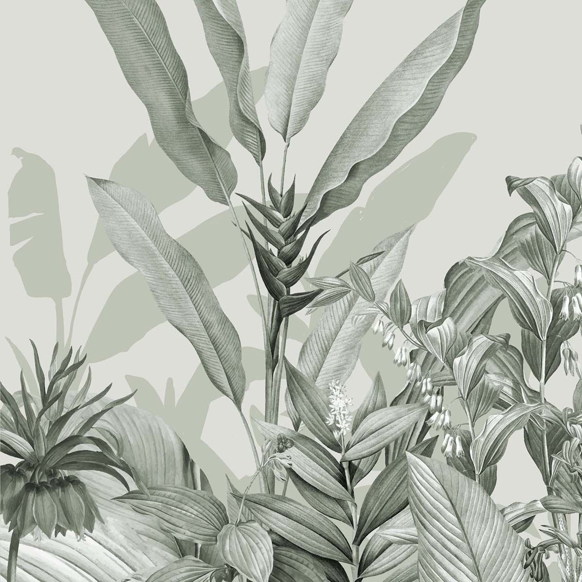 Honpo | Biophilia Fern Honpo | Biophilia Fern