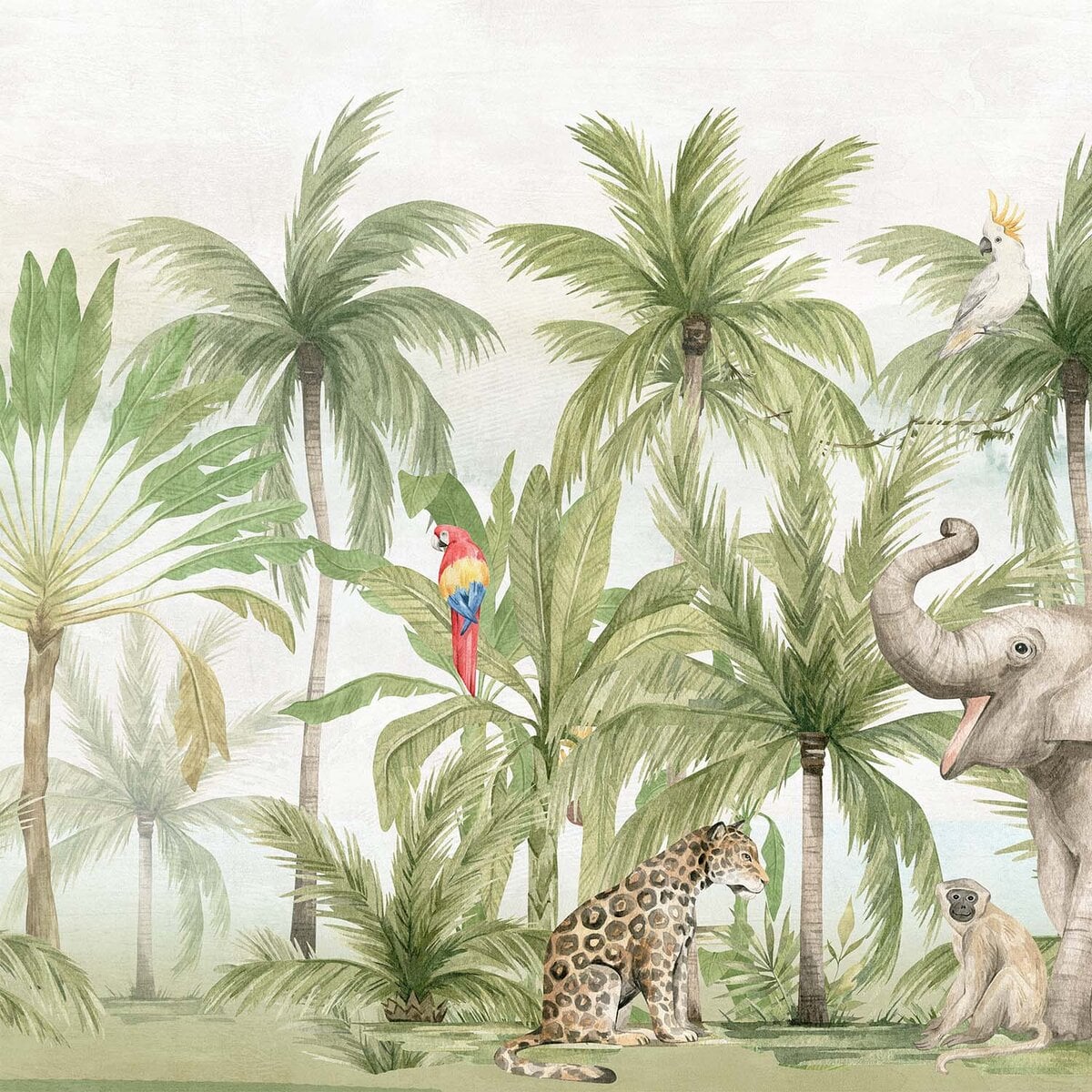 Honpo | Tropical Kingdom Honpo | Tropical Kingdom