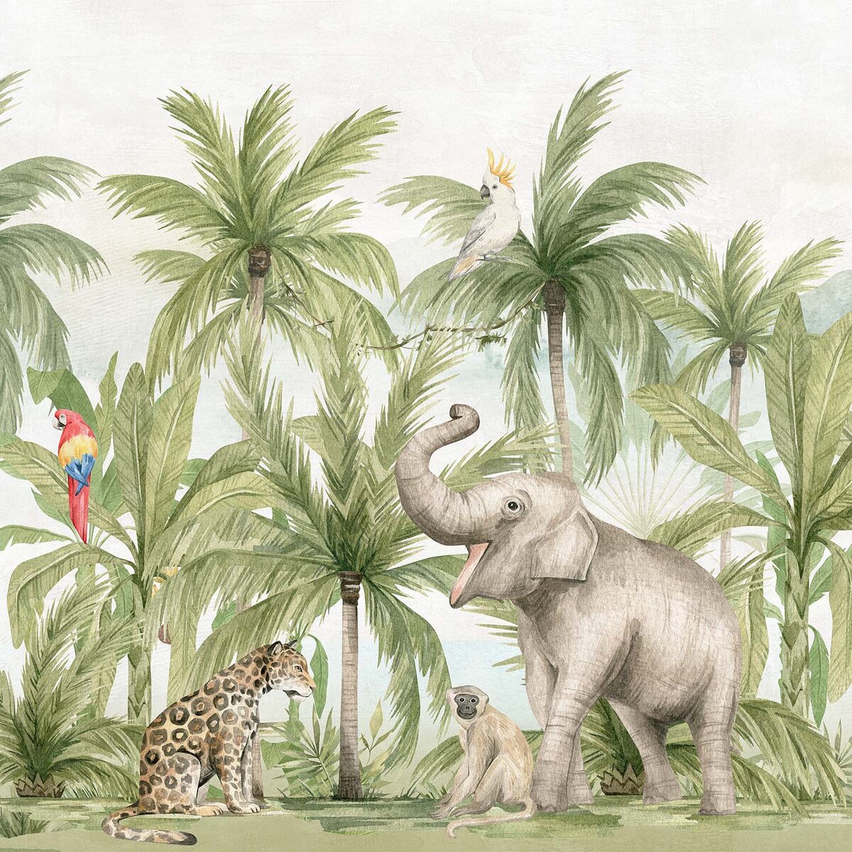 Honpo | Tropical Kingdom Honpo | Tropical Kingdom