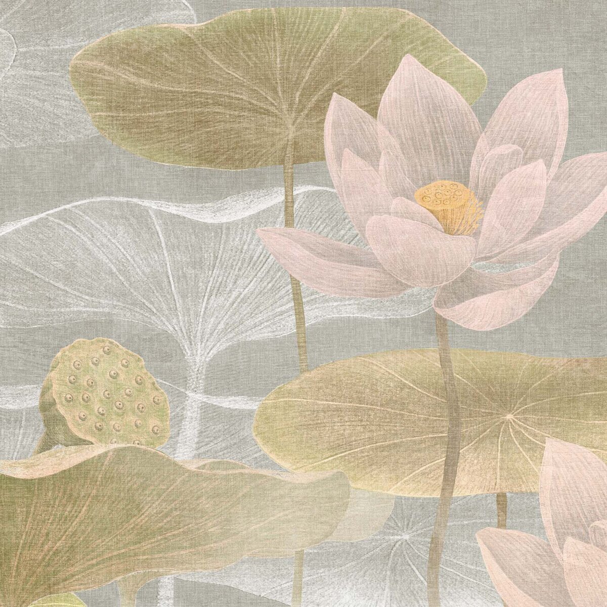 Honpo | Lotus Serenity Honpo | Lotus Serenity