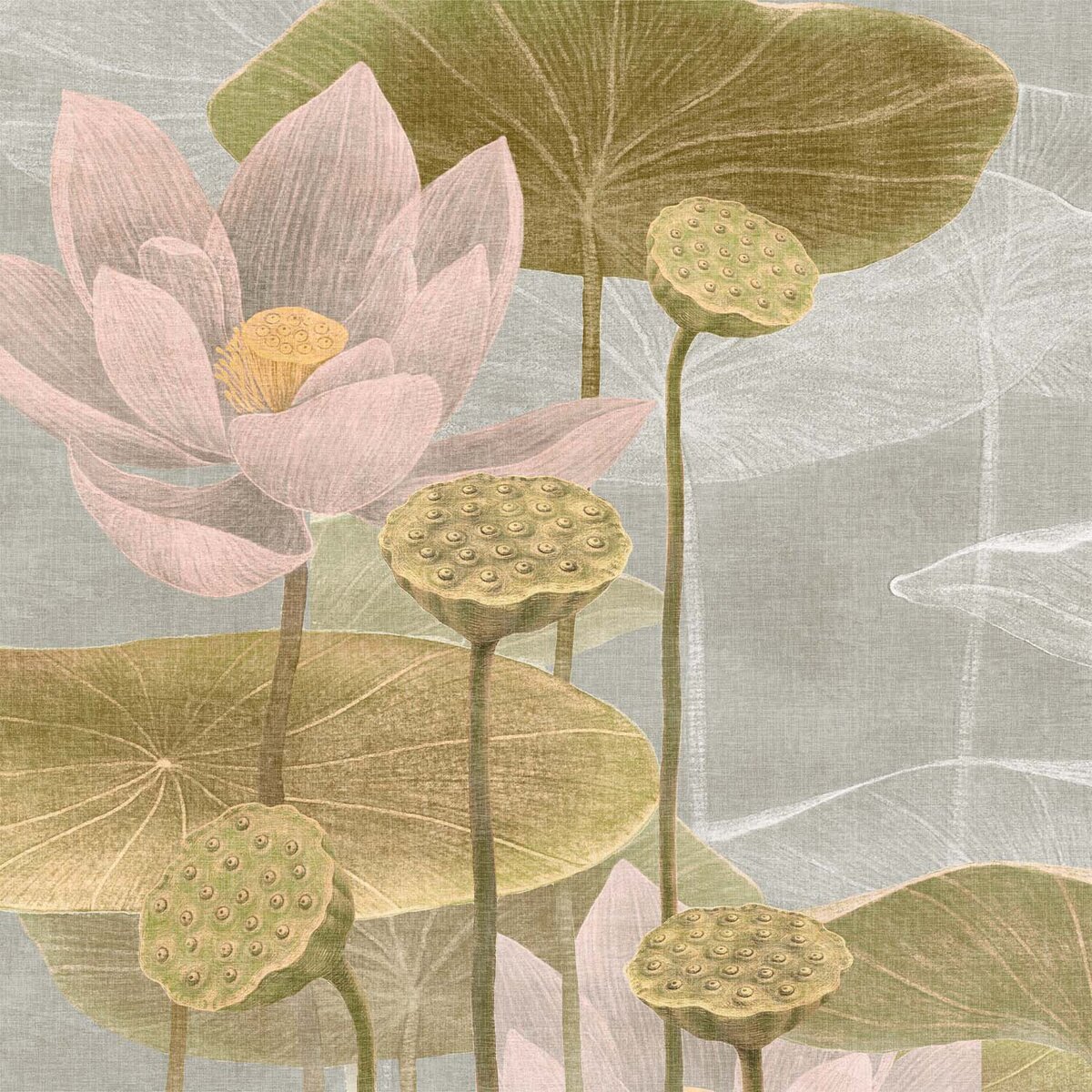 Honpo | Lotus Serenity Honpo | Lotus Serenity