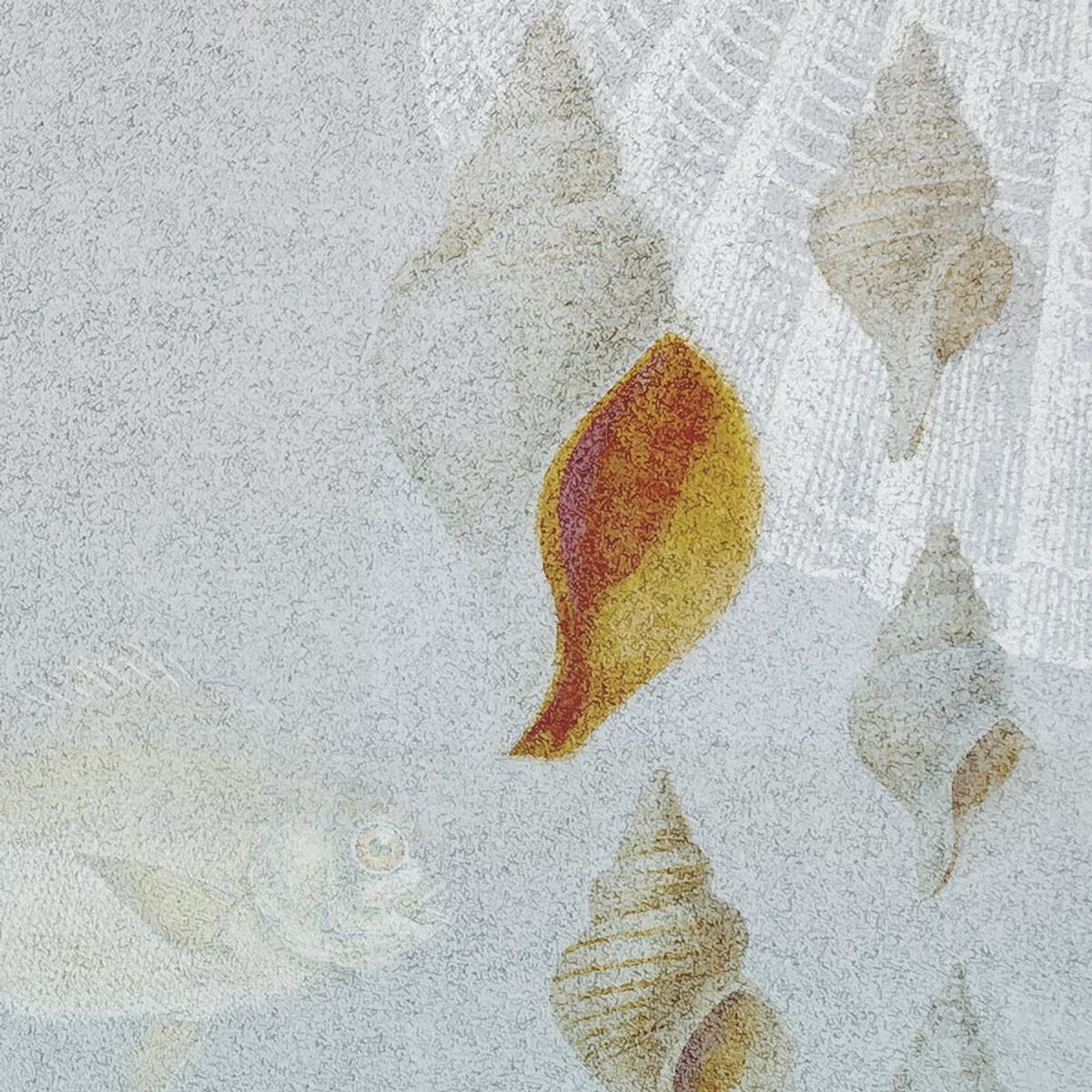 Rimura | Il Mare Rimura | Il Mare