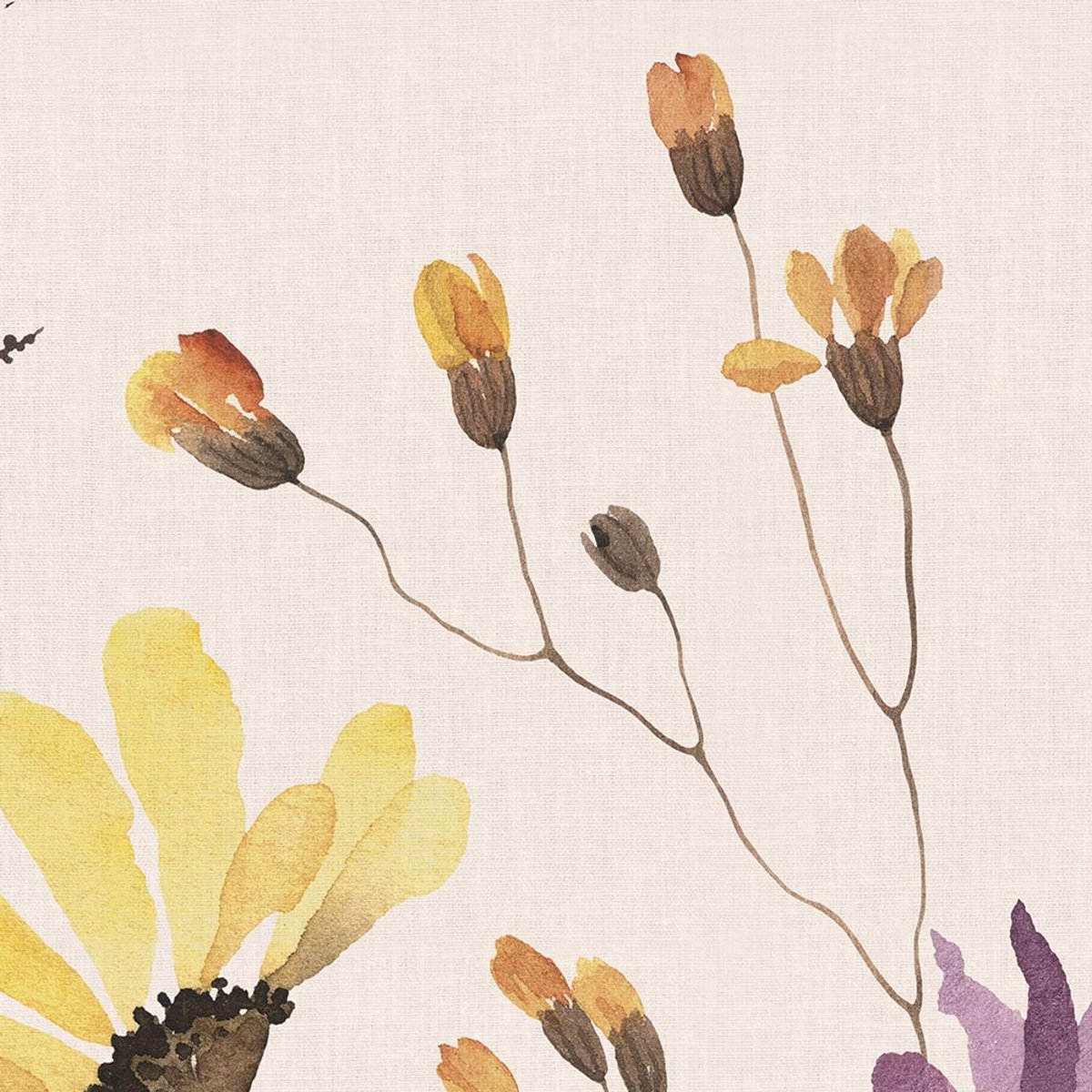 Rimura | Adorable Rimura | Adorable