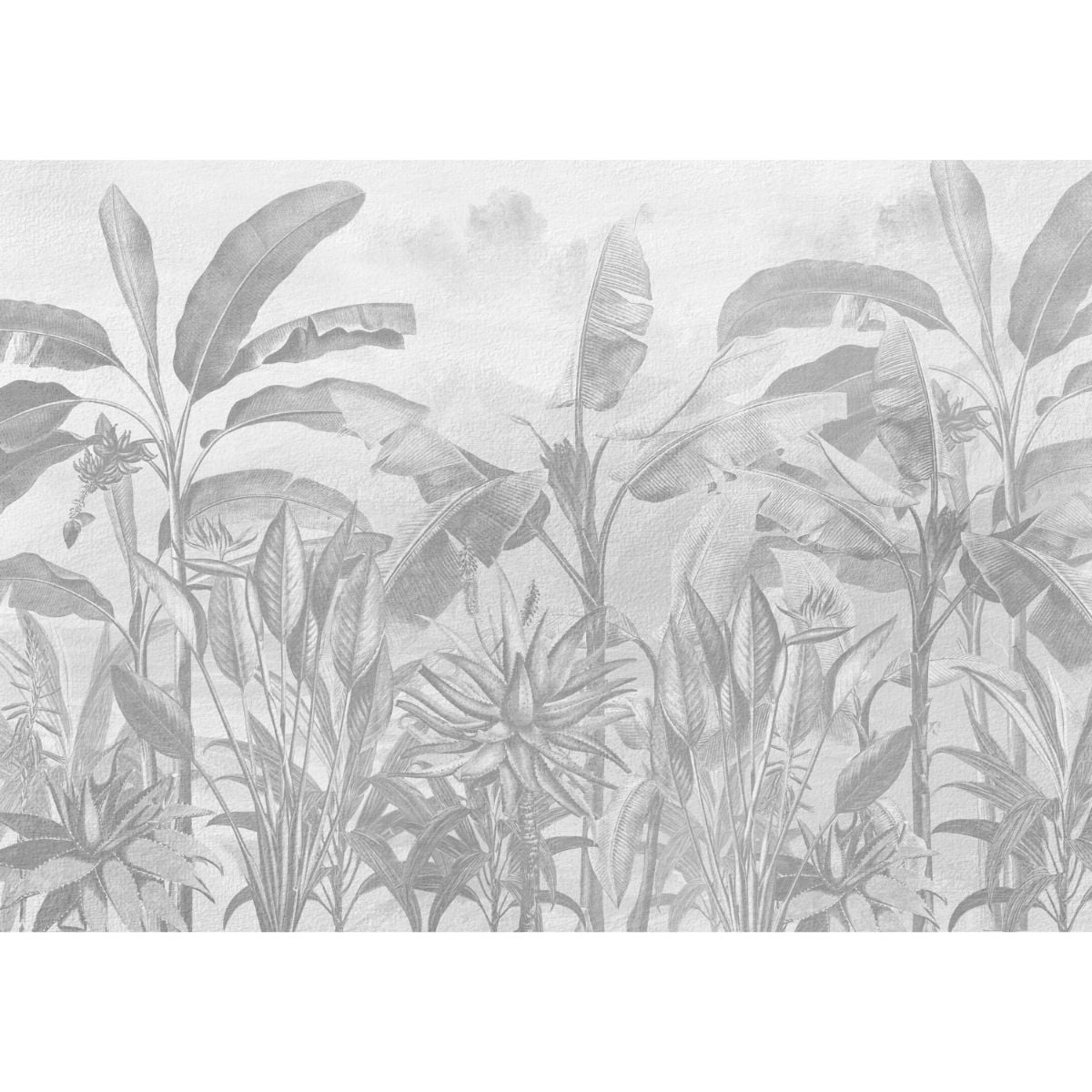 Affreschi & Affreschi | Giri | 45G-AA0501 Affreschi & Affreschi | Giri | 45G-AA0501