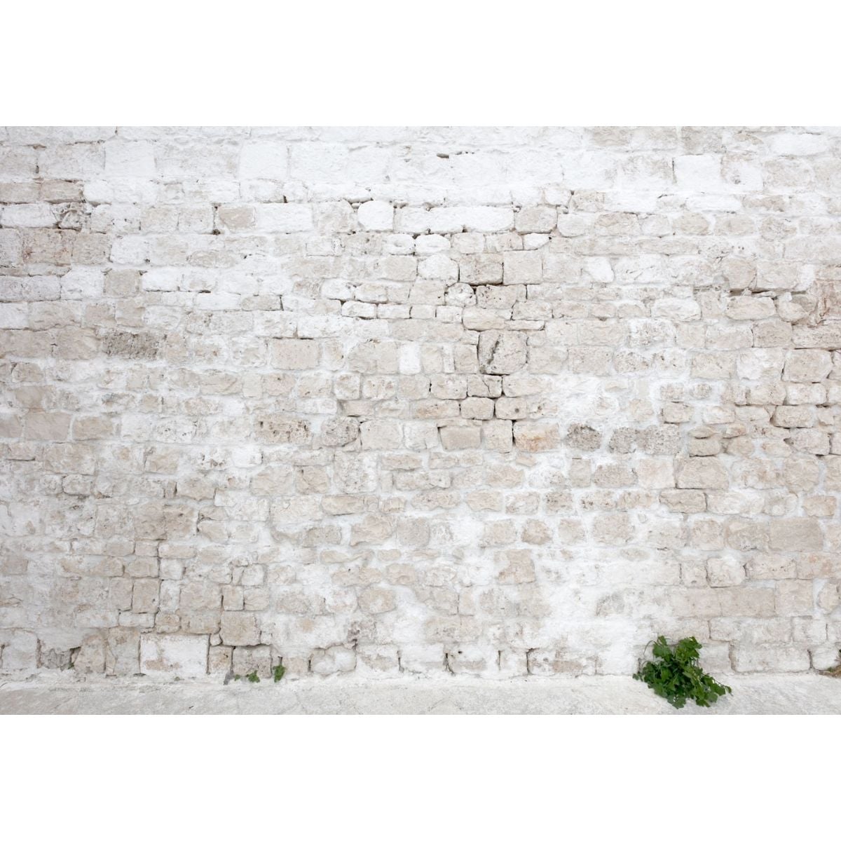 Affreschi & Affreschi | About You | AY 025 Affreschi & Affreschi | About You | AY 025