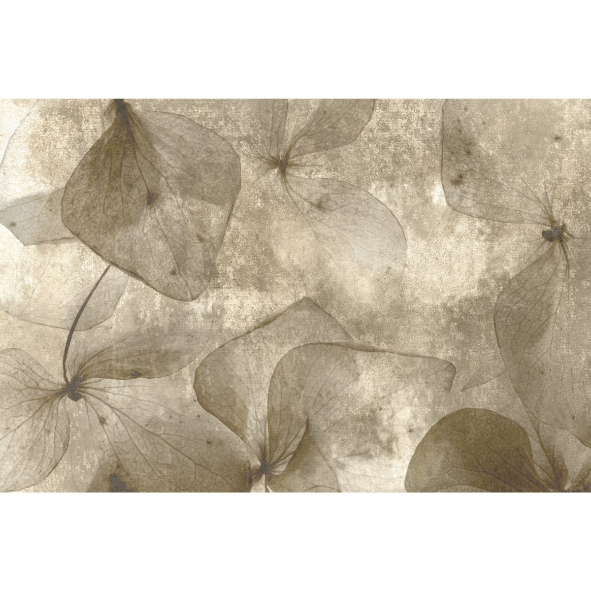 Affreschi & Affreschi | Aloha | AH 102 Affreschi & Affreschi | Aloha | AH 102