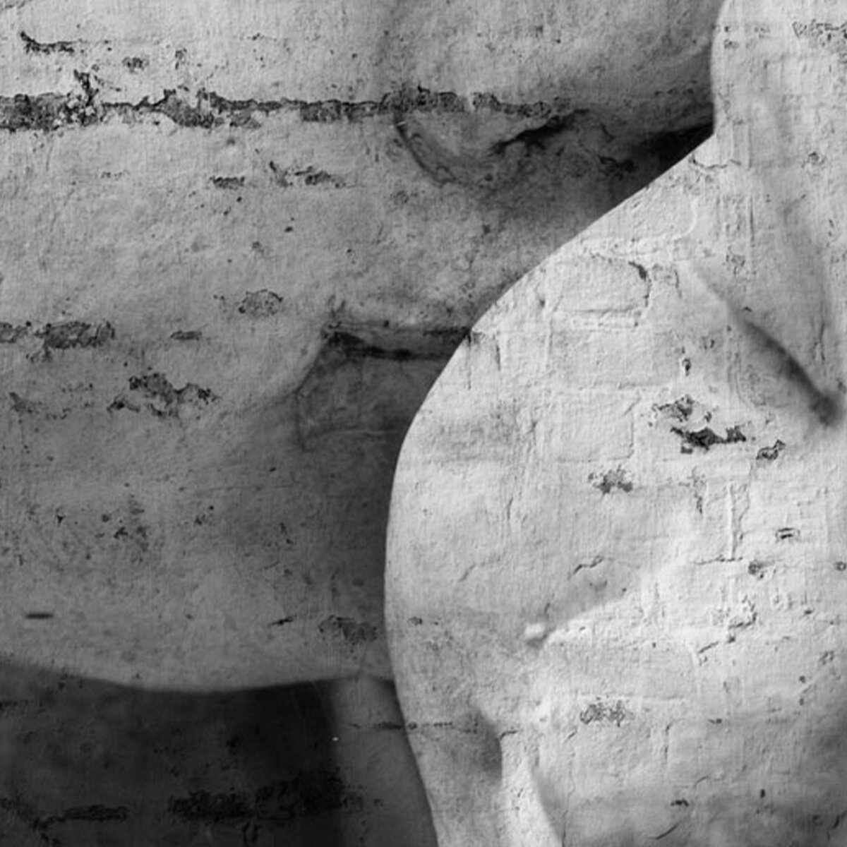 Affreschi & Affreschi | Carpe Diem | CD104 Affreschi & Affreschi | Carpe Diem | CD104