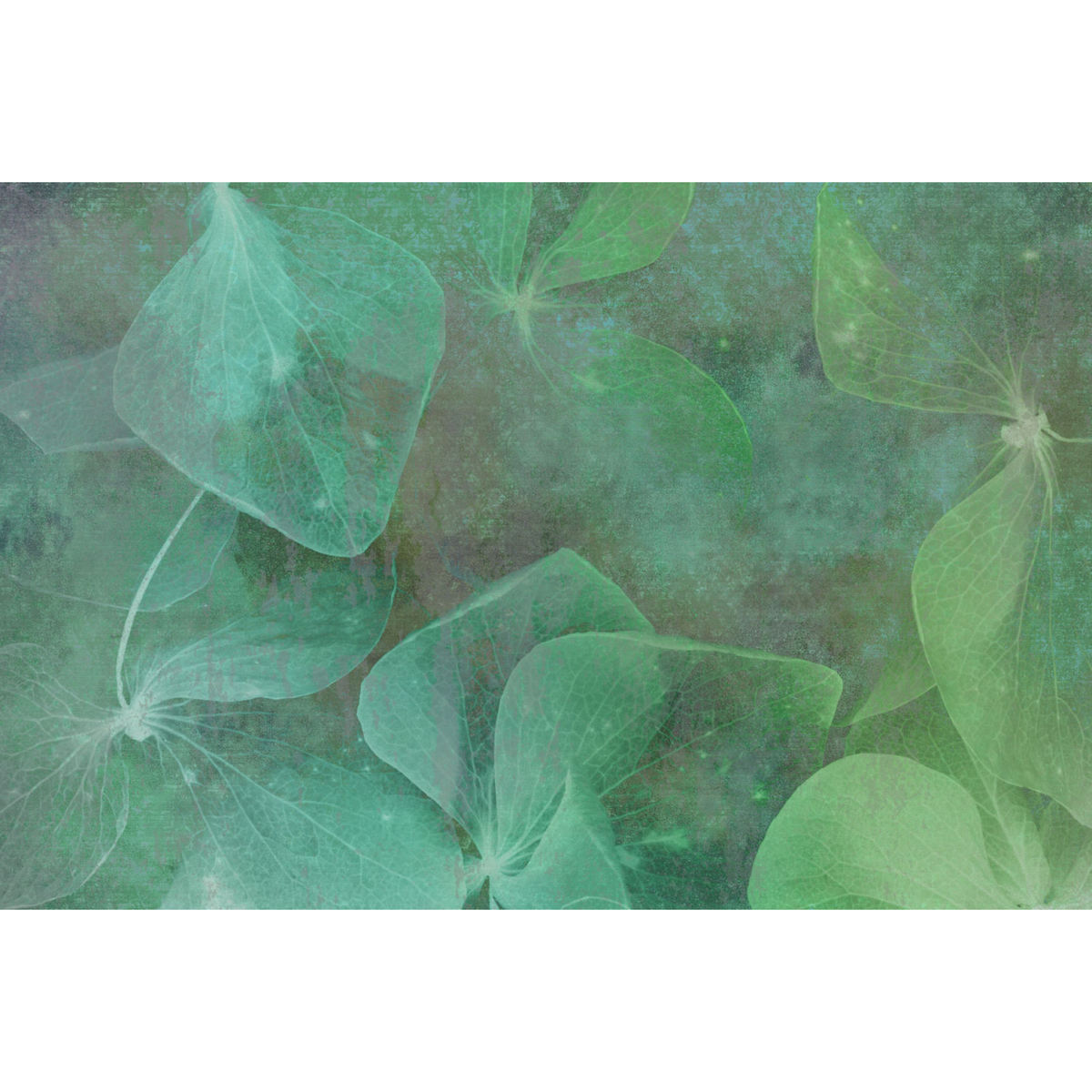 Affreschi & Affreschi | Aloha | AH 058 Affreschi & Affreschi | Aloha | AH 058