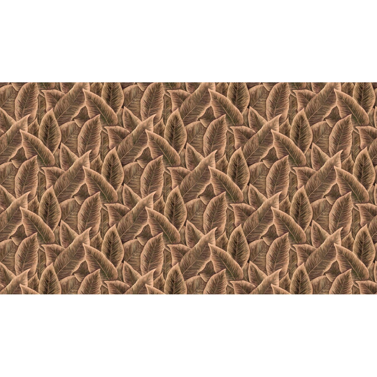 Arte | Décors & Panoramiques | Bird of Paradise I Arte | Décors & Panoramiques | Bird of Paradise I