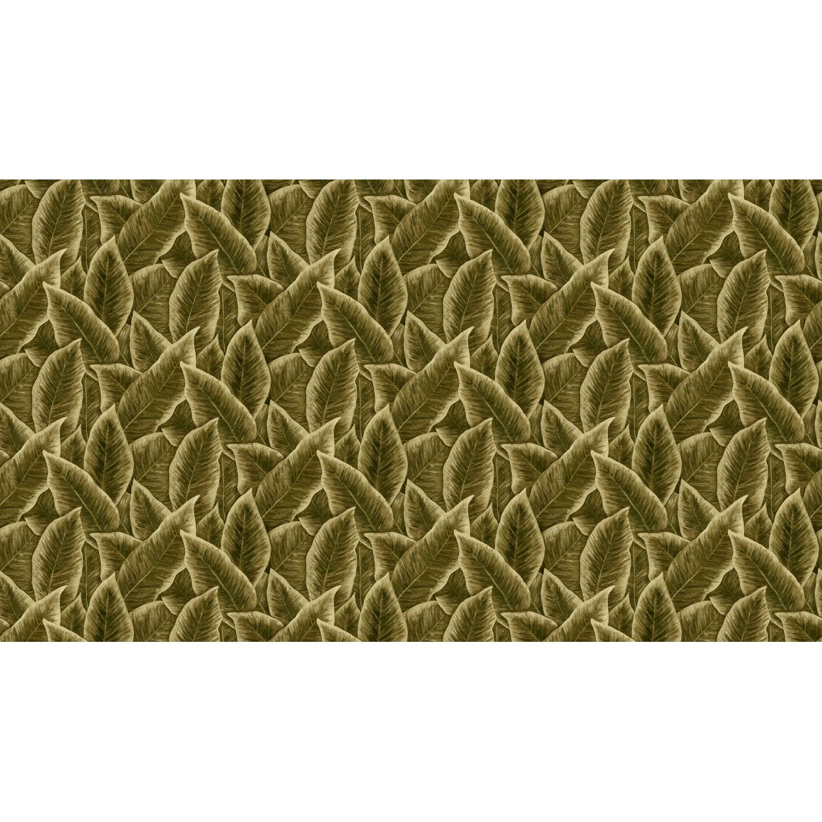 Arte | Décors & Panoramiques | Bird of Paradise I Arte | Décors & Panoramiques | Bird of Paradise I