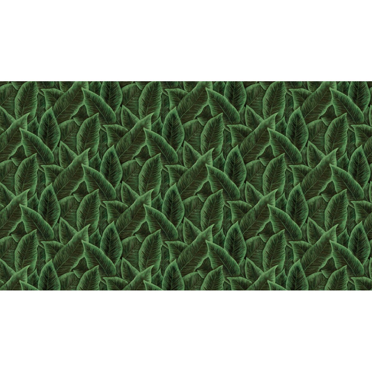 Arte | Décors & Panoramiques | Bird of Paradise | 97572 Arte | Décors & Panoramiques | Bird of Paradise | 97572