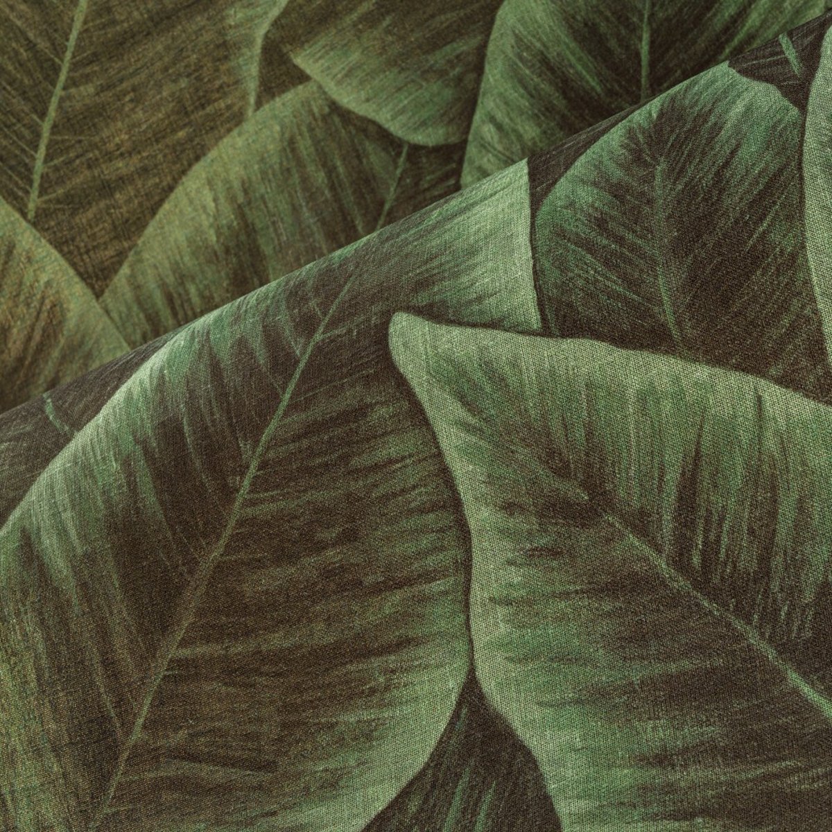 Arte | Décors & Panoramiques | Bird of Paradise | 97572 Arte | Décors & Panoramiques | Bird of Paradise | 97572