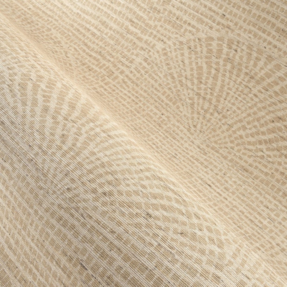 ARTE | Pampas | Cupula I ARTE | Pampas | Cupula I