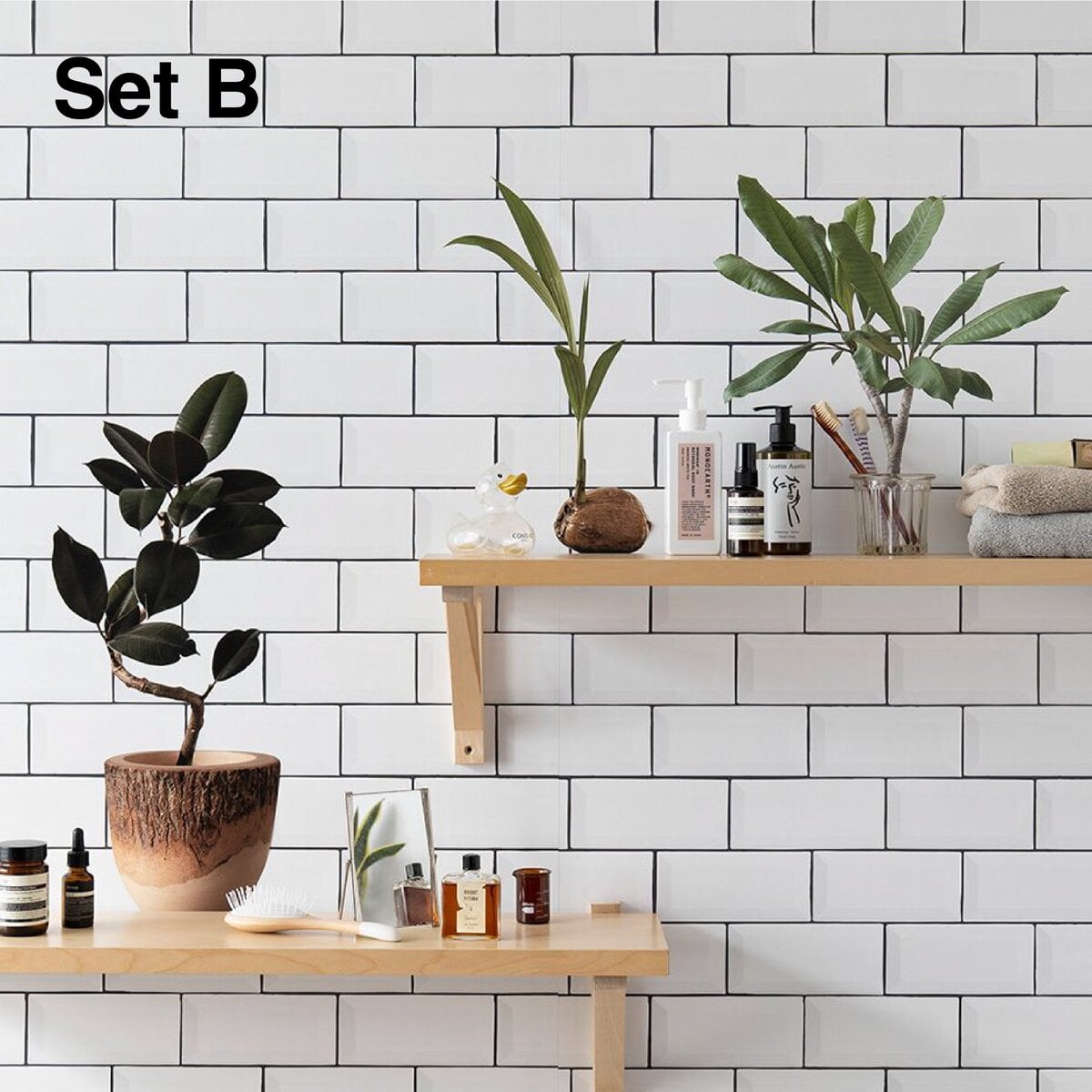 Botanical Sticker Sets | Size S Botanical Sticker Sets | Size S