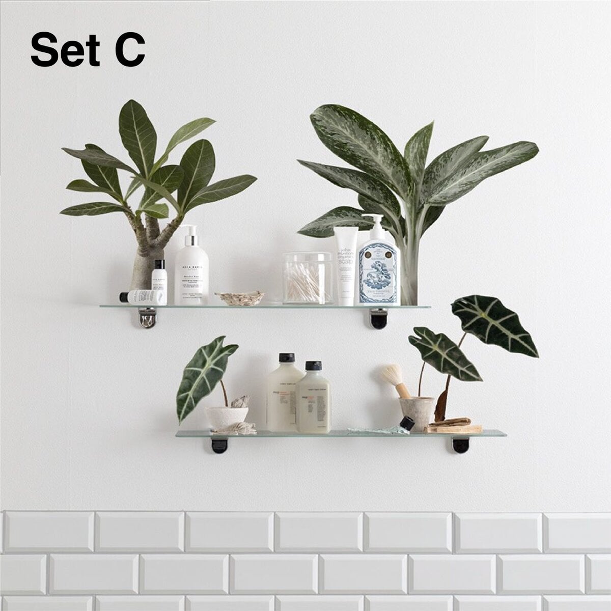 Botanical Sticker Sets | Size S Botanical Sticker Sets | Size S