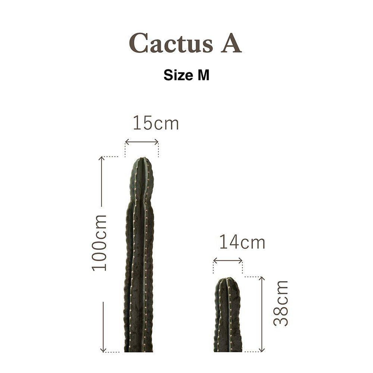 Botanical Sticker | Pillar Cactus A Botanical Sticker | Pillar Cactus A