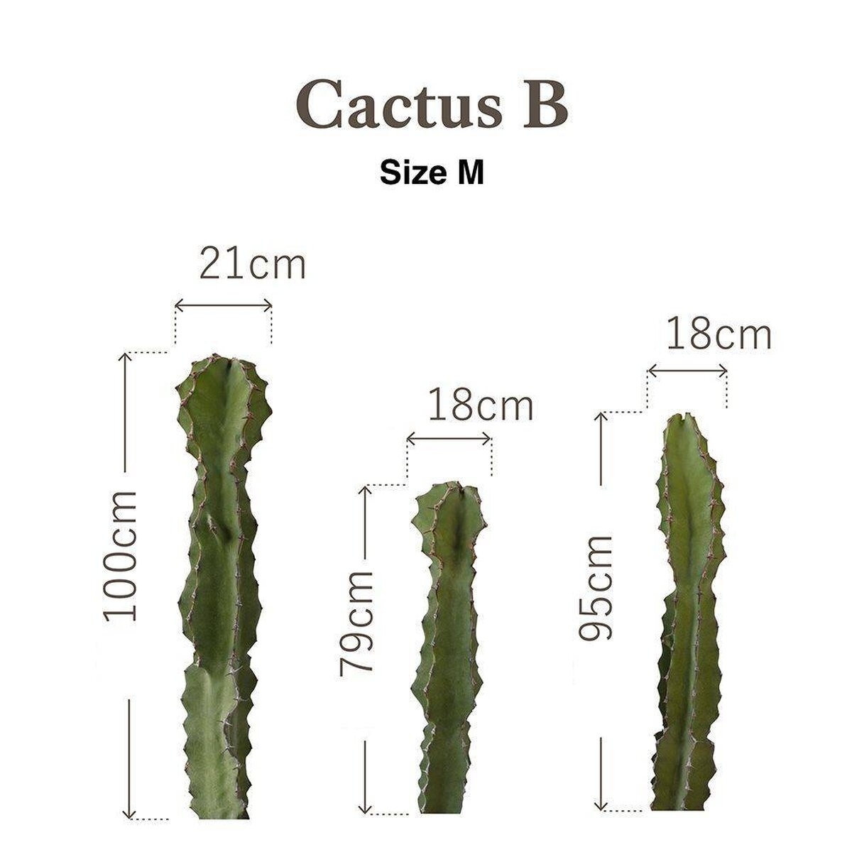 Botanical Sticker | Pillar Cactus B Botanical Sticker | Pillar Cactus B
