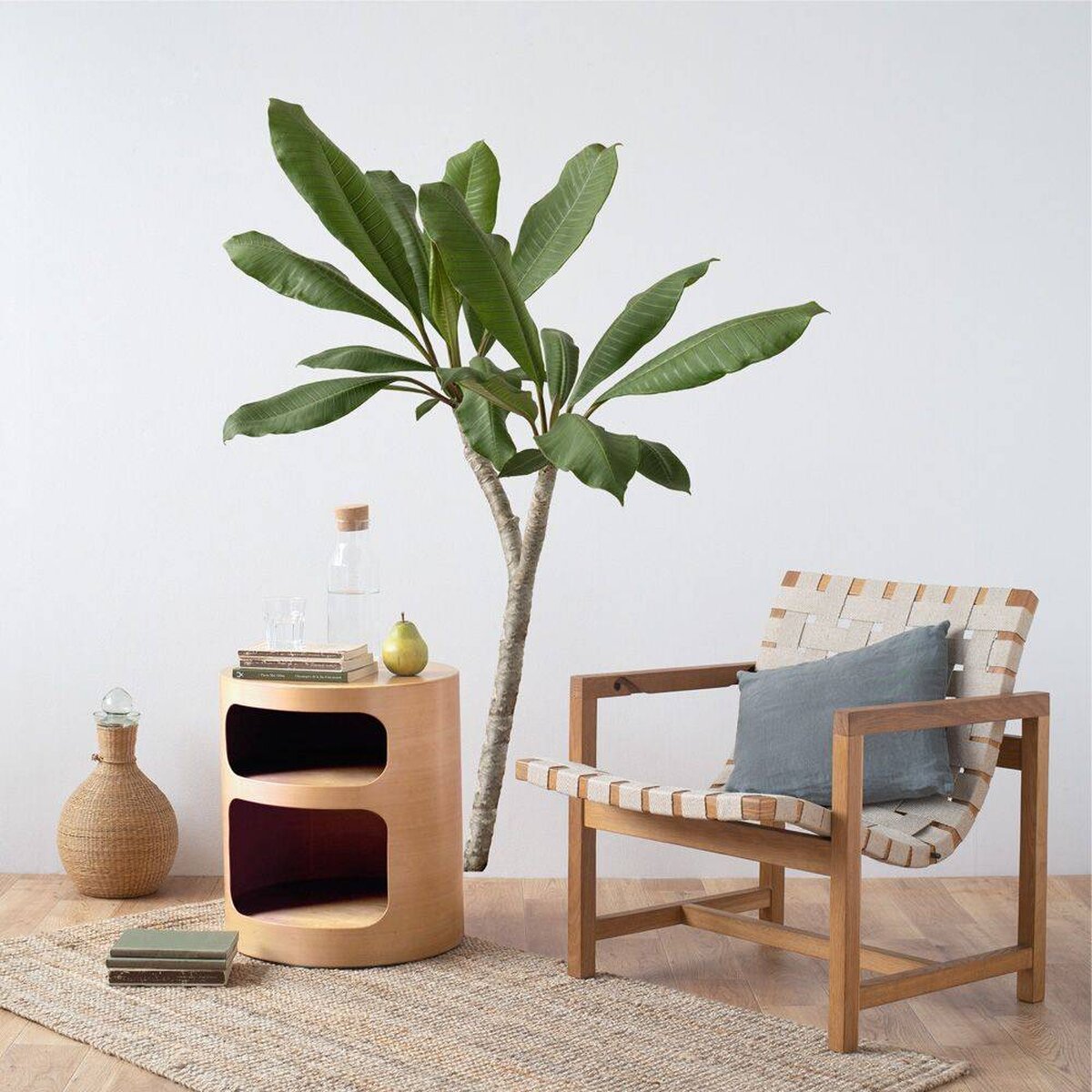 Botanical Sticker | Plumeria Botanical Sticker | Plumeria