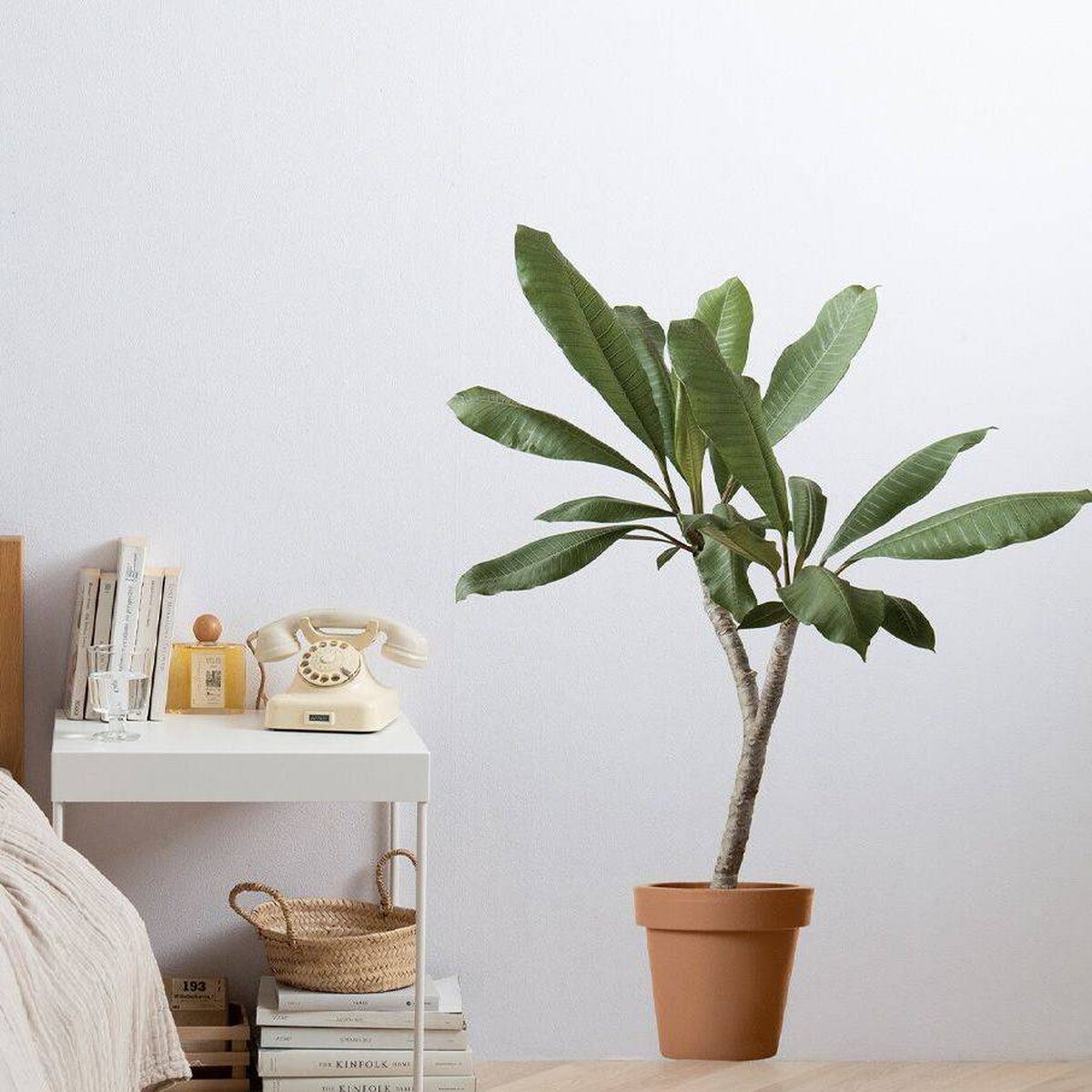 POT STICKER Flowerpot Sticker | Terracotta POT STICKER Flowerpot Sticker | Terracotta