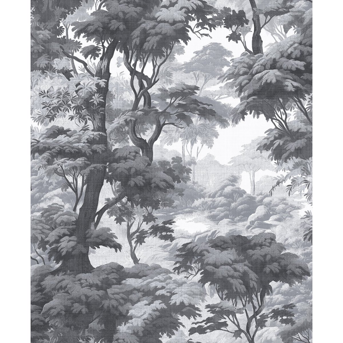 Graham & Brown | Bobart's Garden Graham & Brown | Bobart's Garden