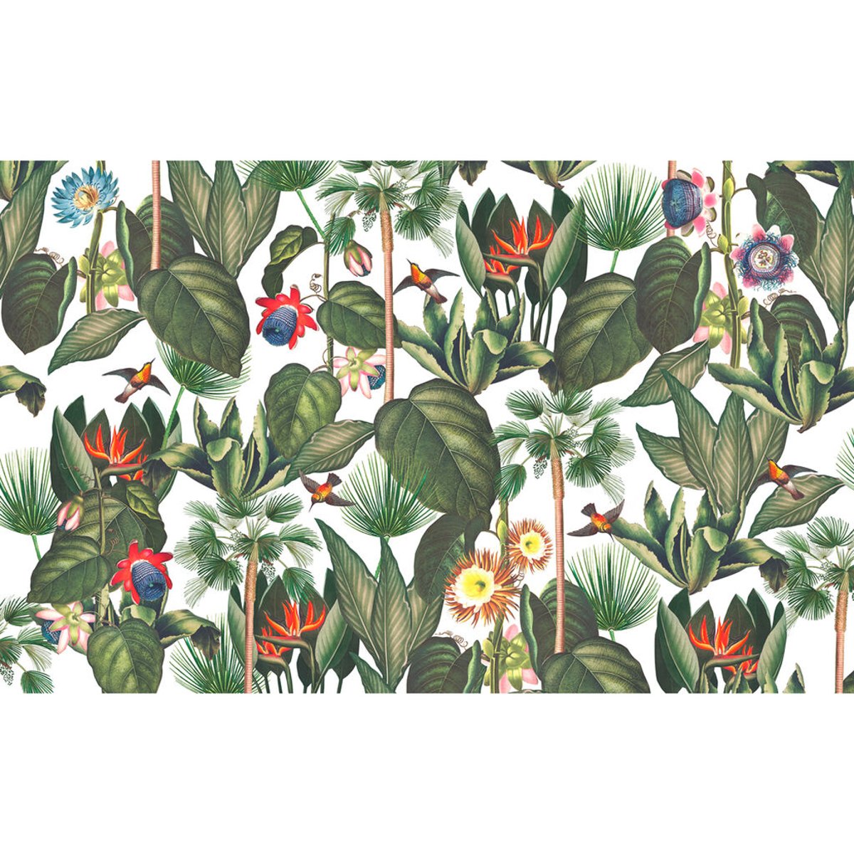 Graham & Brown | Botanique Jungle Graham & Brown | Botanique Jungle