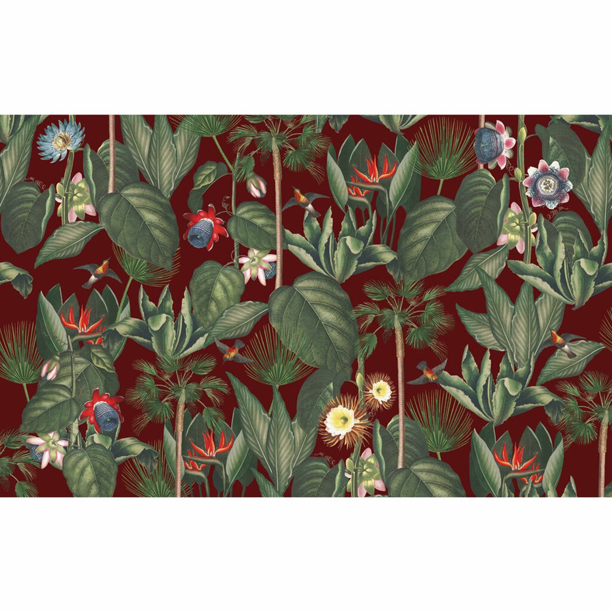 Graham & Brown | Botanique Jungle Graham & Brown | Botanique Jungle