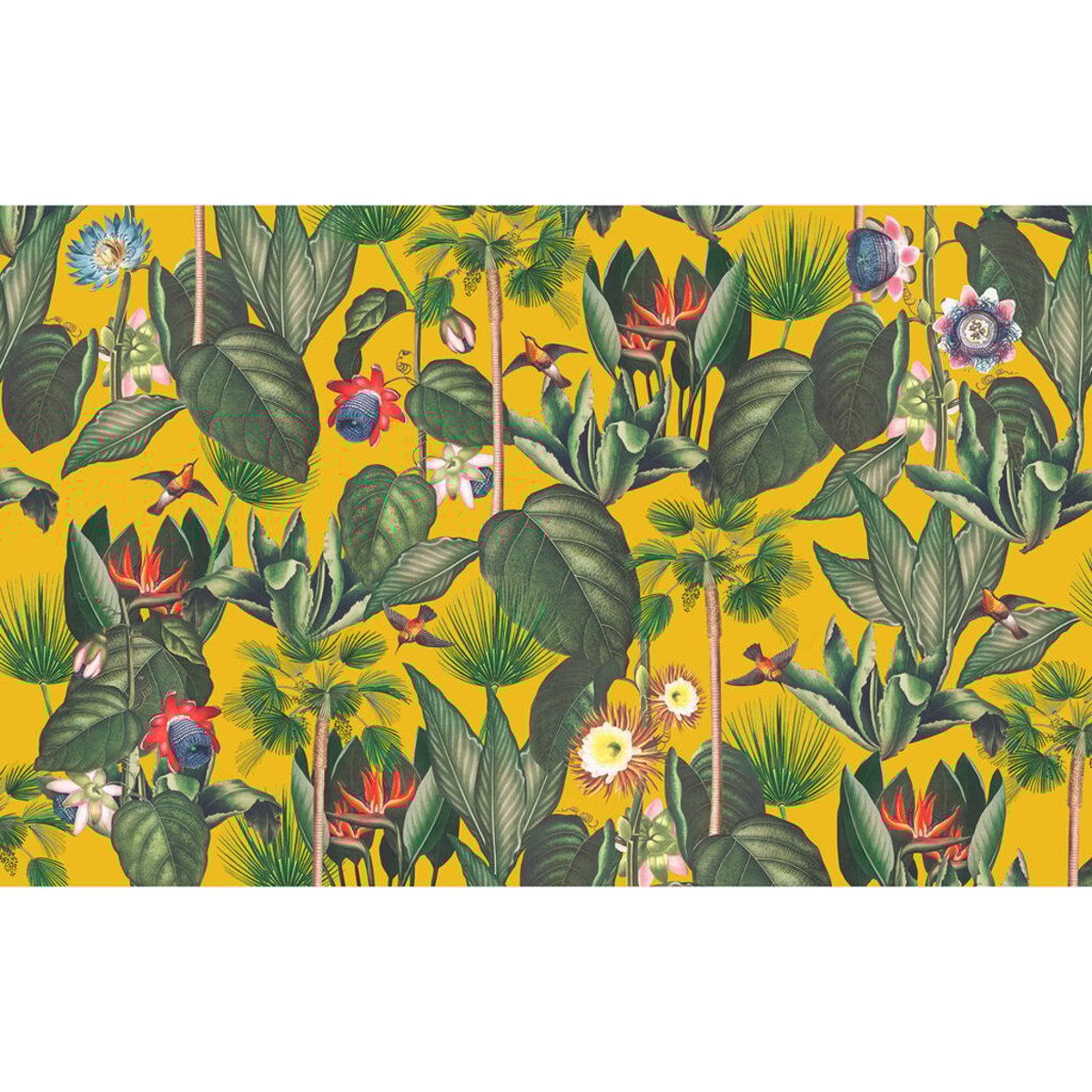 Graham & Brown | Botanique Jungle Graham & Brown | Botanique Jungle