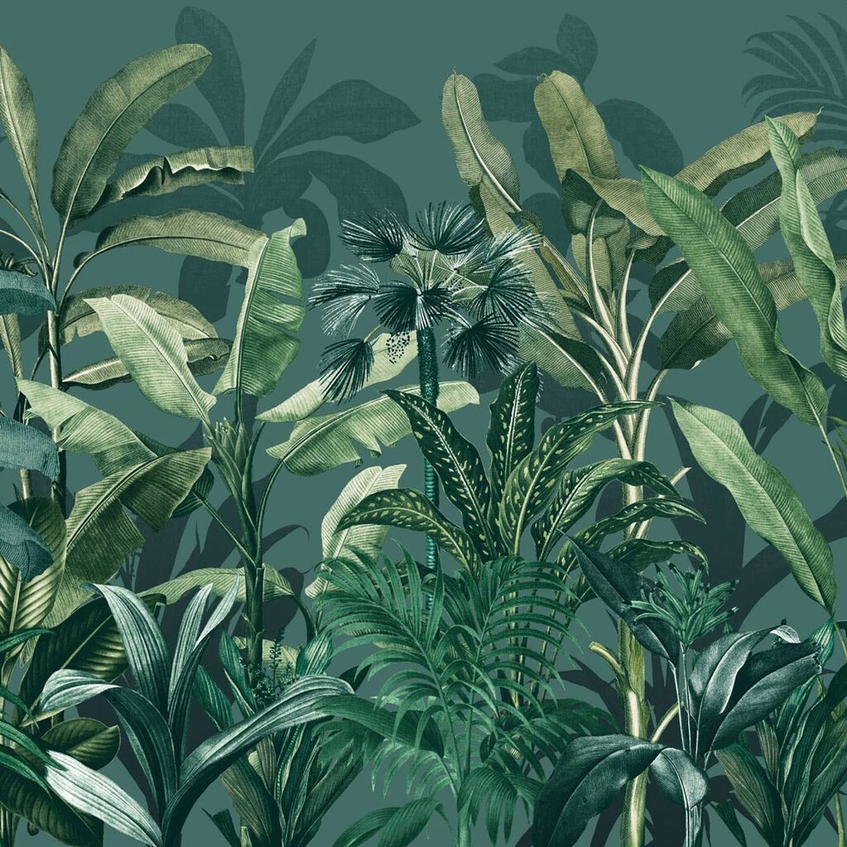 Graham & Brown | Congo Graham & Brown | Congo