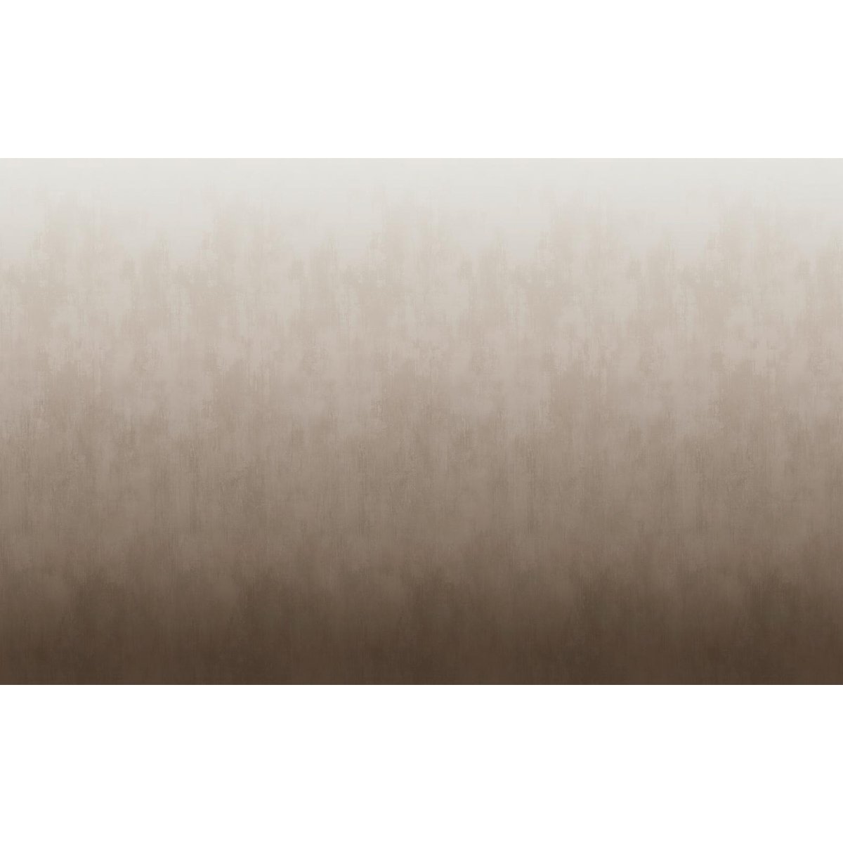 Graham & Brown | Oblique Ink Graham & Brown | Oblique Ink