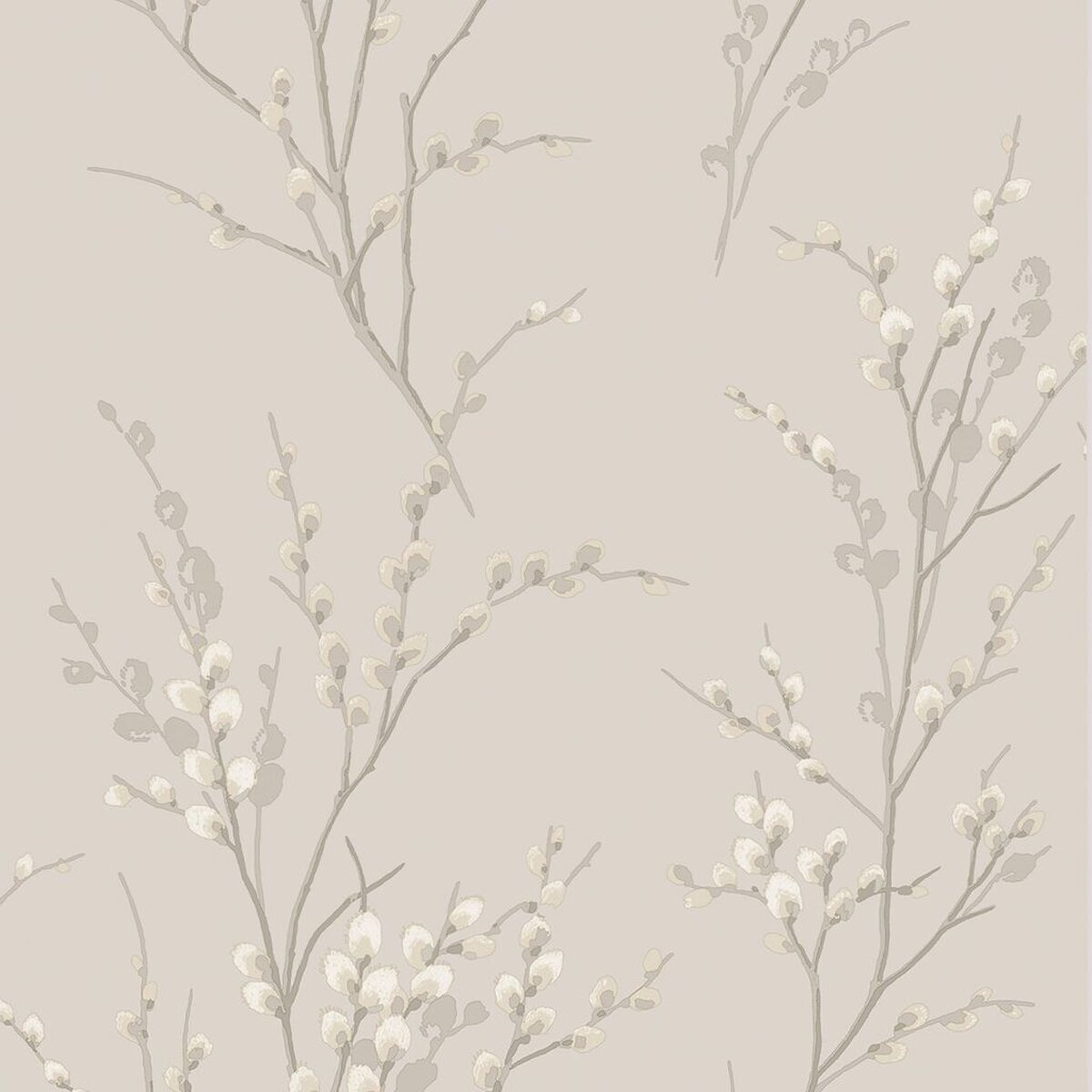 Graham & Brown | Pussy Willow Graham & Brown | Pussy Willow