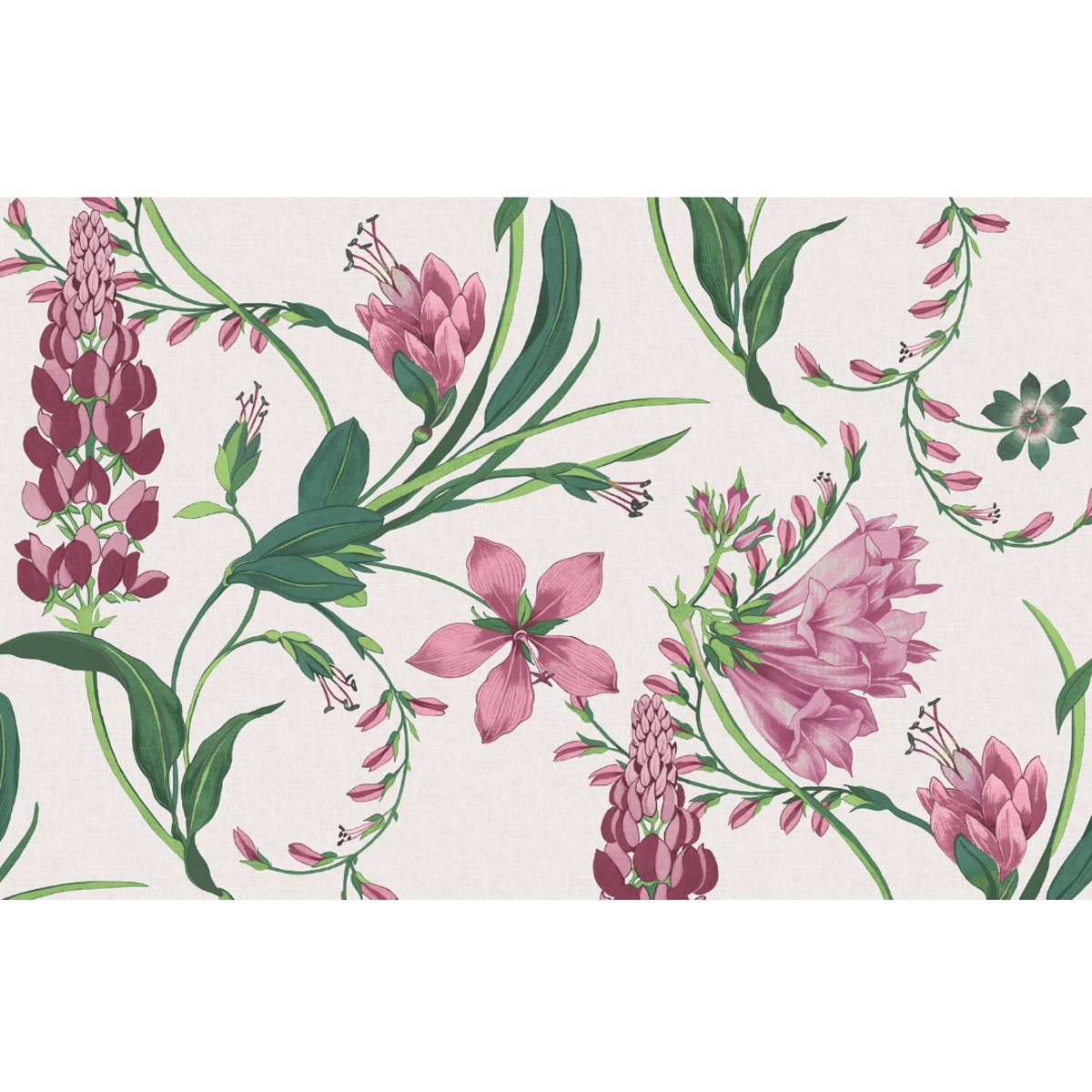 Graham & Brown | Botanists Scroll Bespoke Mural Graham & Brown | Botanists Scroll Bespoke Mural