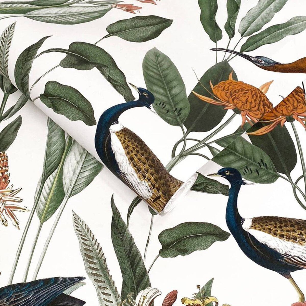 Graham & Brown | Glasshouse Wallpaper Graham & Brown | Glasshouse Wallpaper