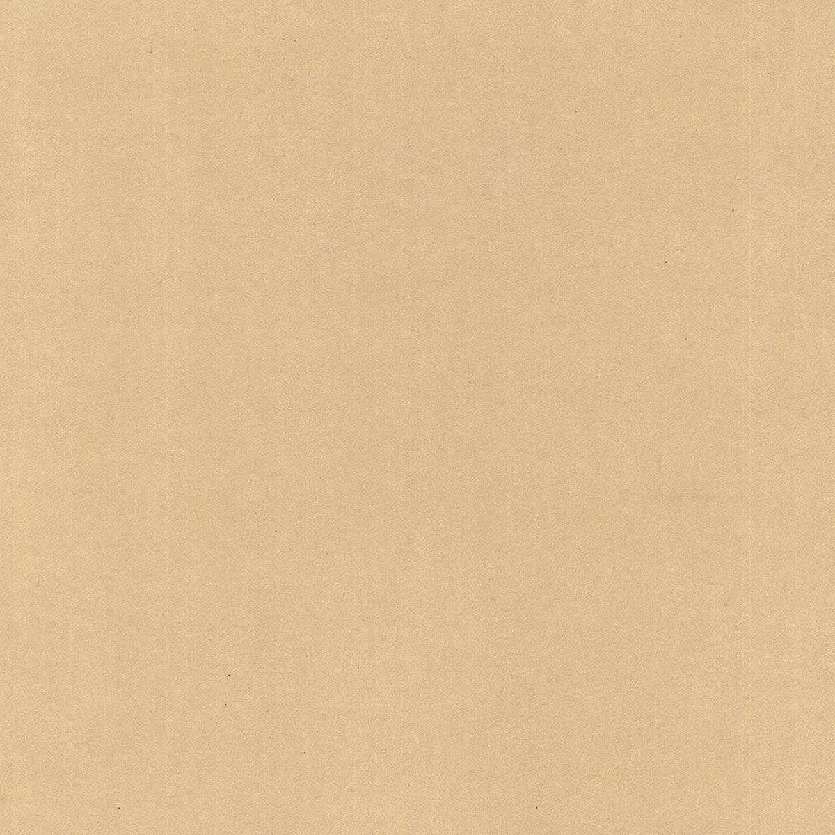 Hattan Palette | 42 Camel Hattan Palette | 42 Camel