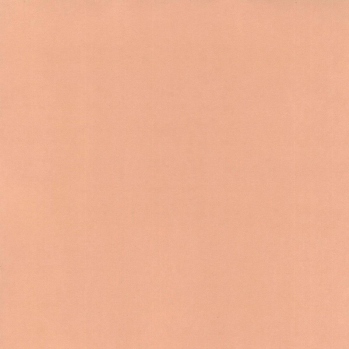 Hattan Palette | 26 Coral Hattan Palette | 26 Coral