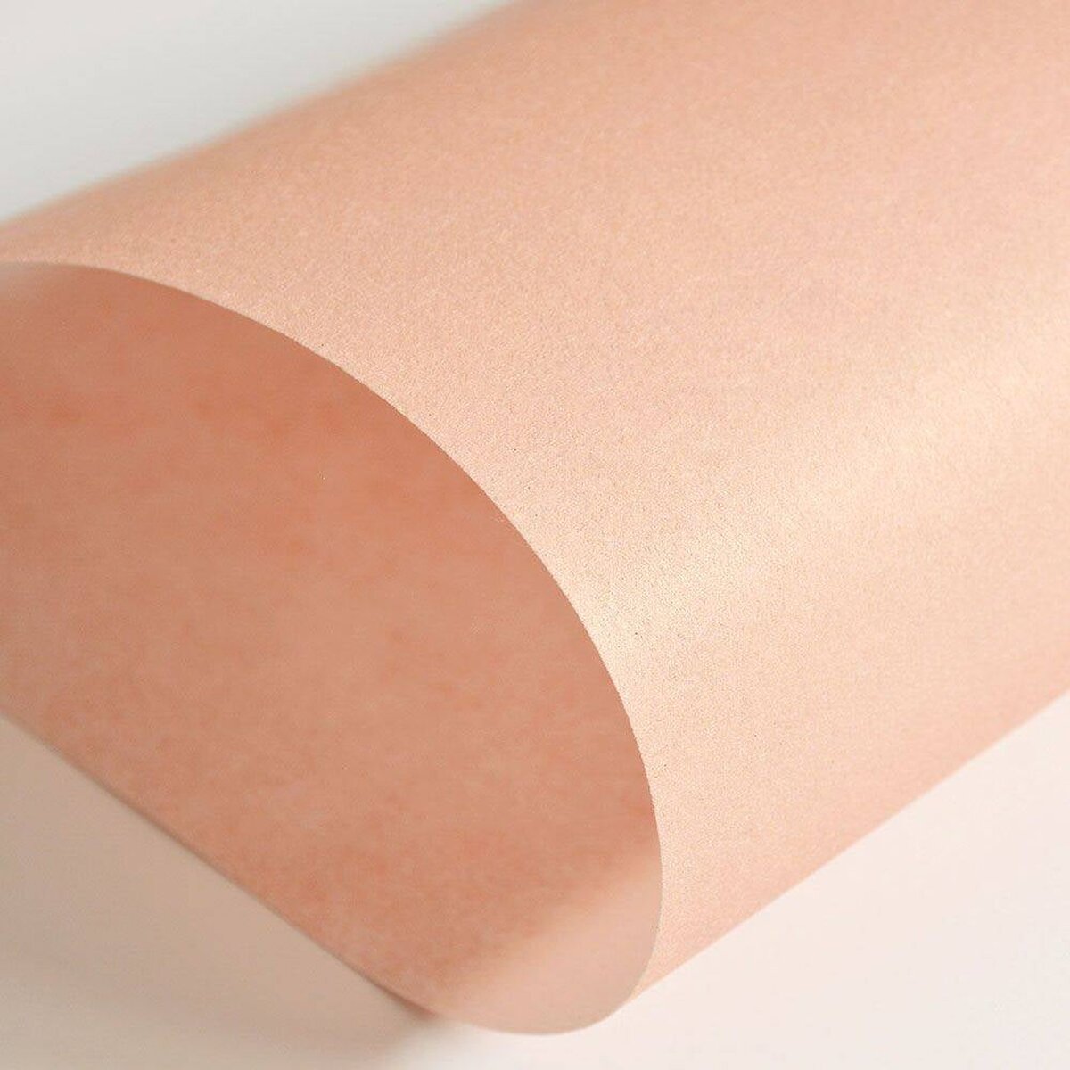 Hattan Palette | 26 Coral Hattan Palette | 26 Coral
