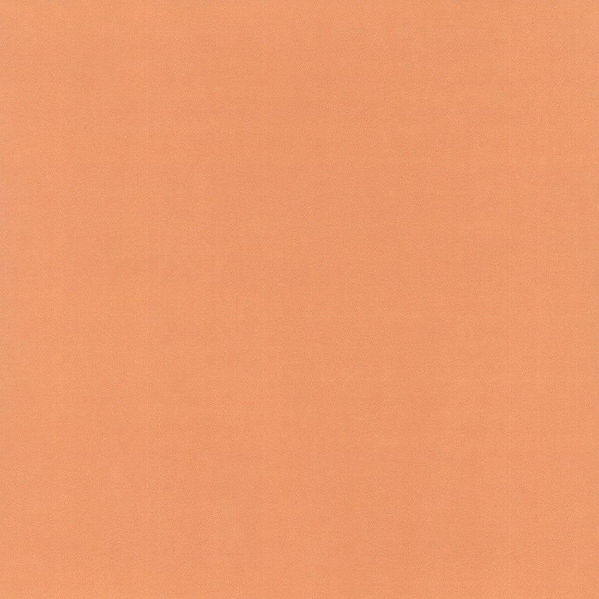 Hattan Palette | 67 Orange Hattan Palette | 67 Orange