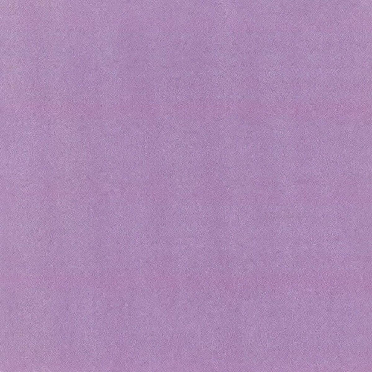 Hattan Palette | 24 Purple Hattan Palette | 24 Purple