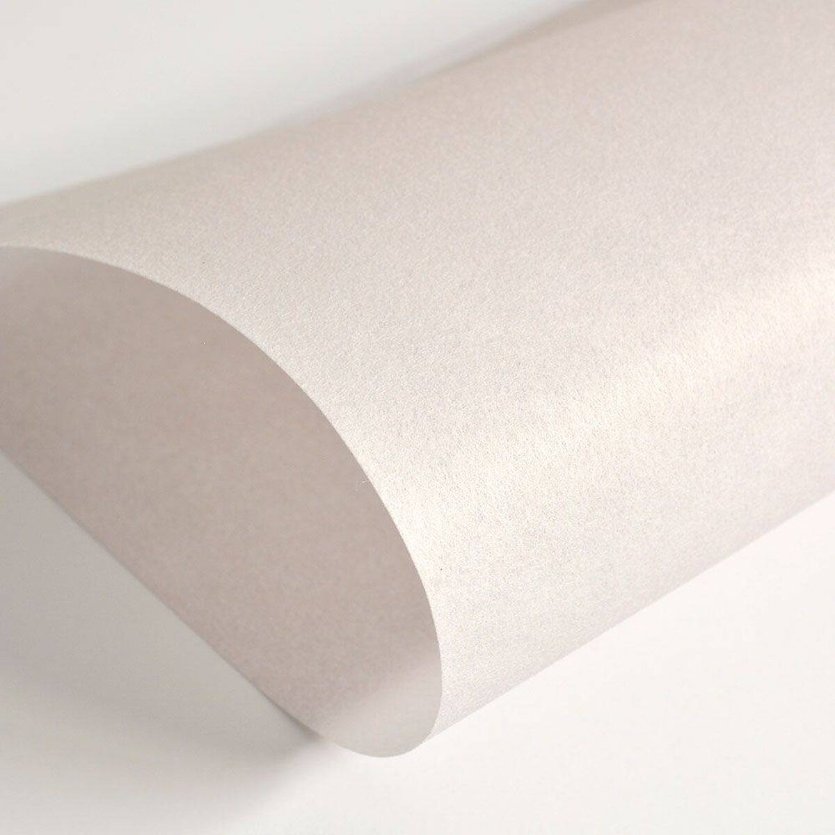Hattan Palette | 37 Rose Grey Hattan Palette | 37 Rose Grey