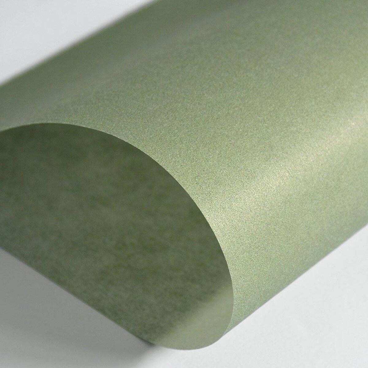 Hattan Palette | 34 Seaweed Hattan Palette | 34 Seaweed