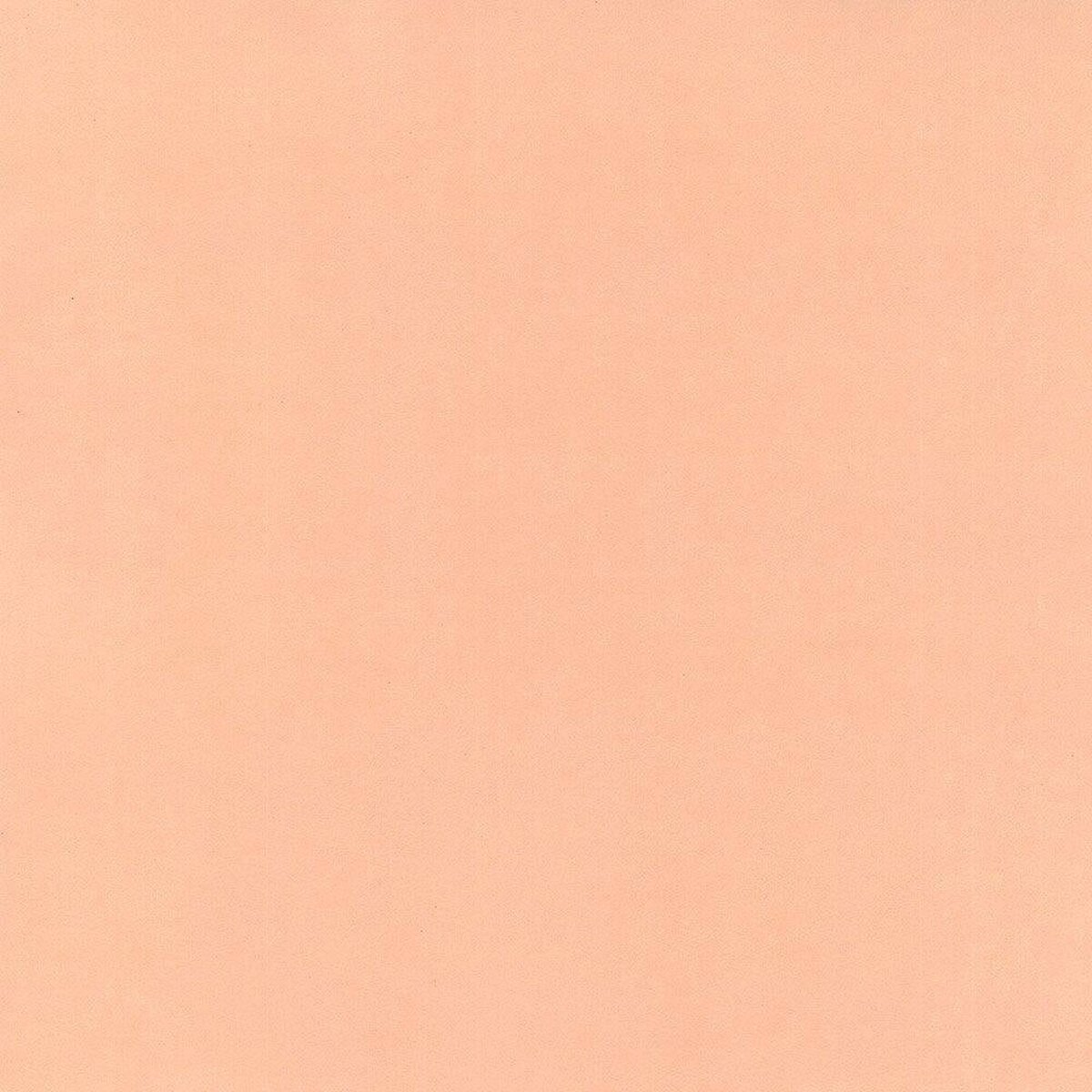 Hattan Palette | 22 Usu Daidai Hattan Palette | 22 Usu Daidai