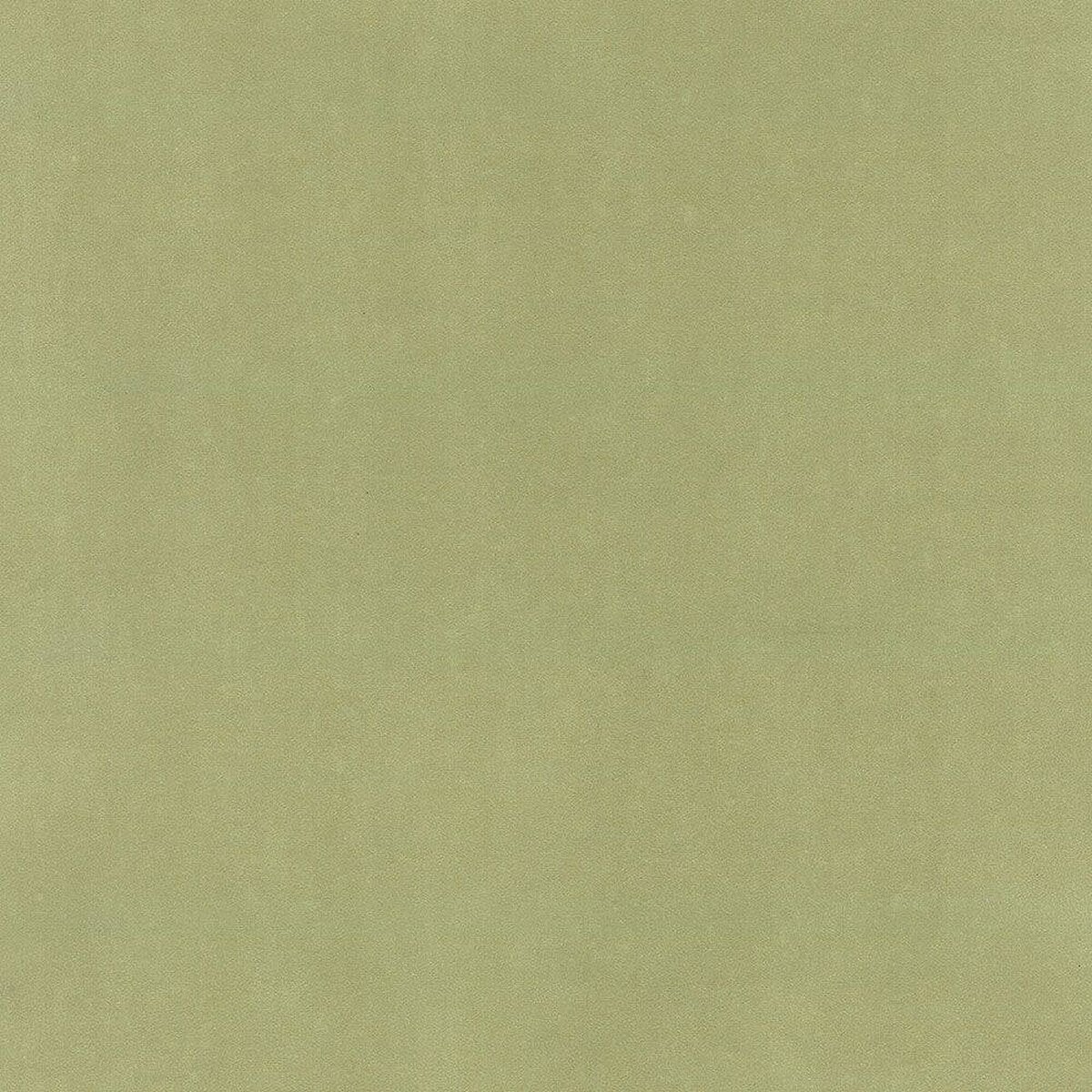 Hattan Palette | 36 Moss Hattan Palette | 36 Moss