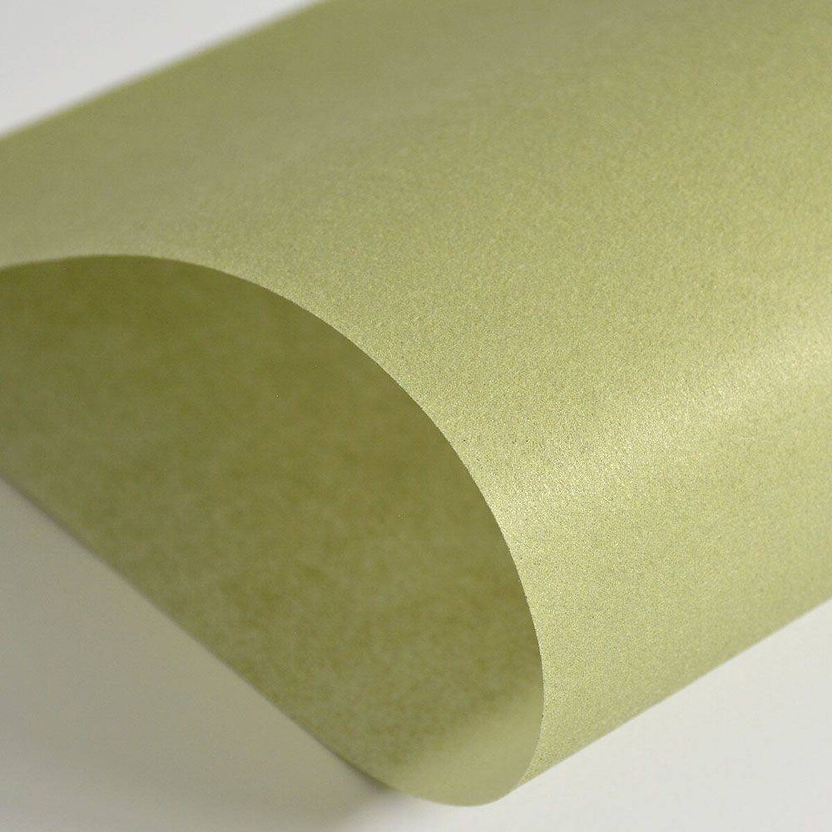 Hattan Palette | 36 Moss Hattan Palette | 36 Moss