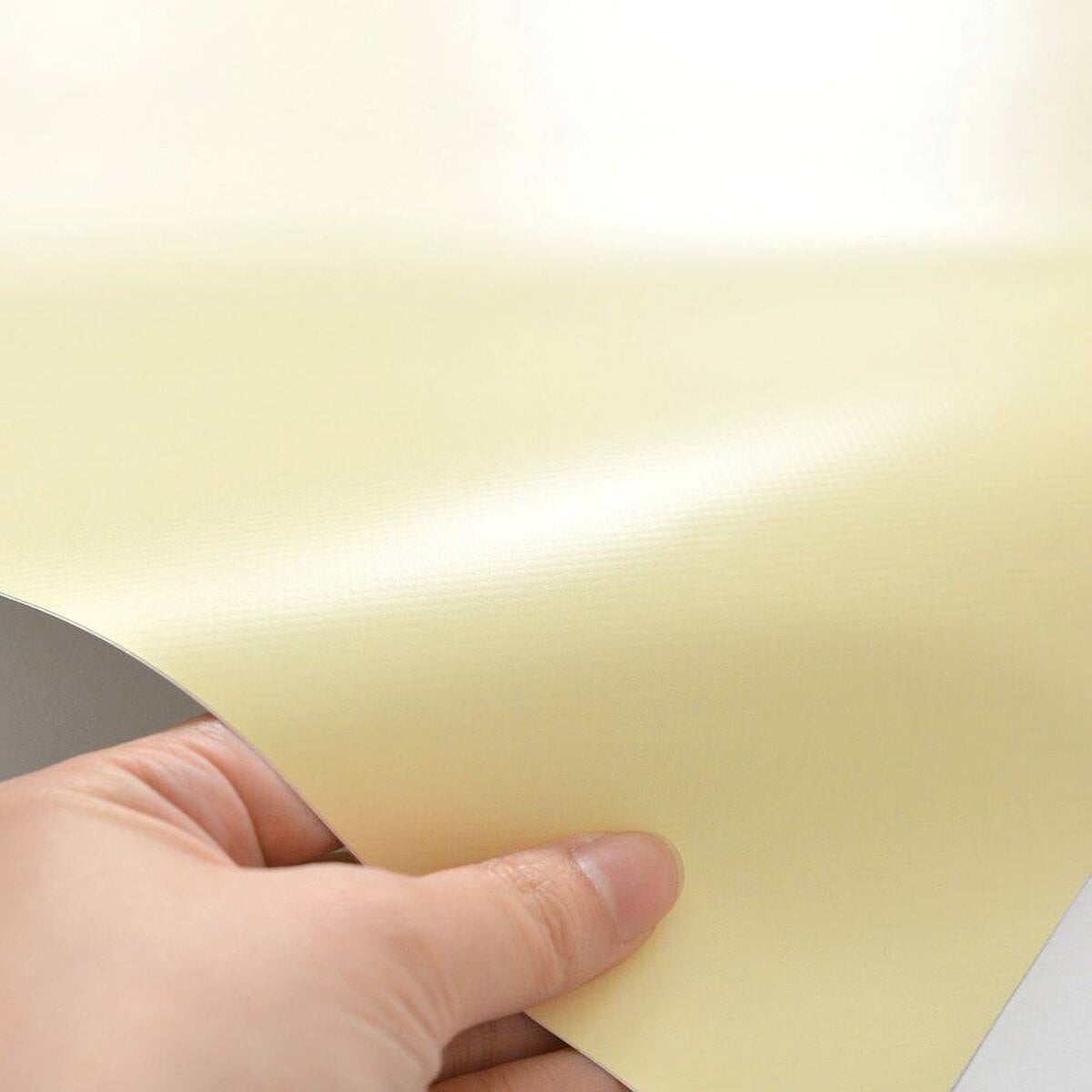 Hatte Me! Palette | 01 Soy Milk Hatte Me! Palette | 01 Soy Milk