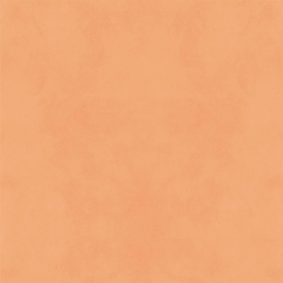 Hatte Me! Palette | 06 Apricot Hatte Me! Palette | 06 Apricot