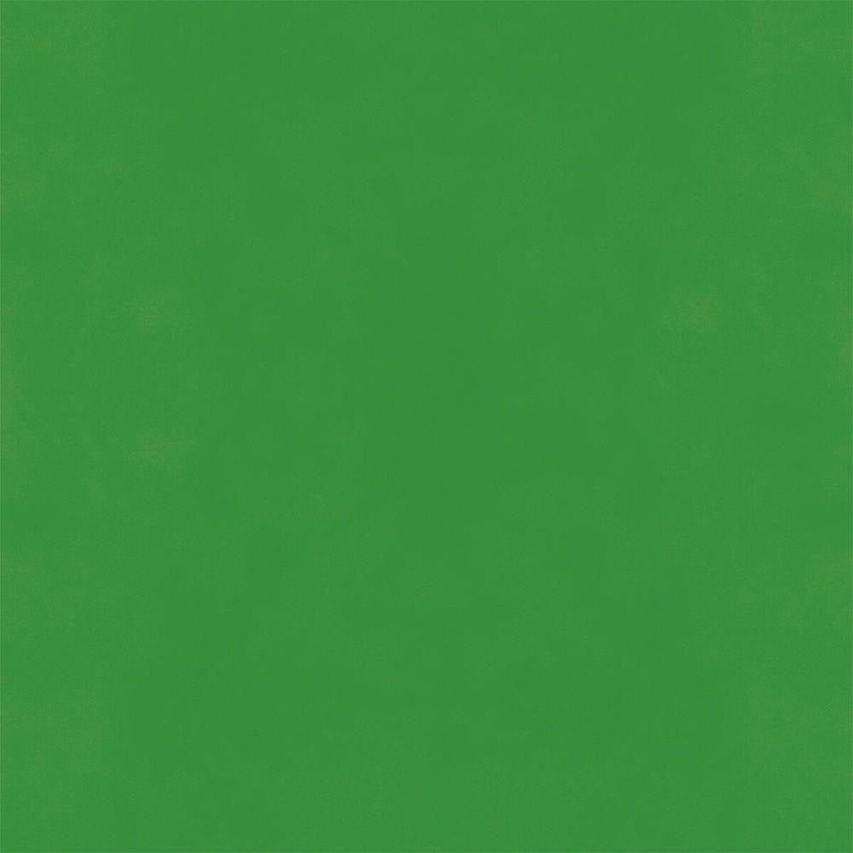 Hatte Me! Palette | 15 Midori Hatte Me! Palette | 15 Midori