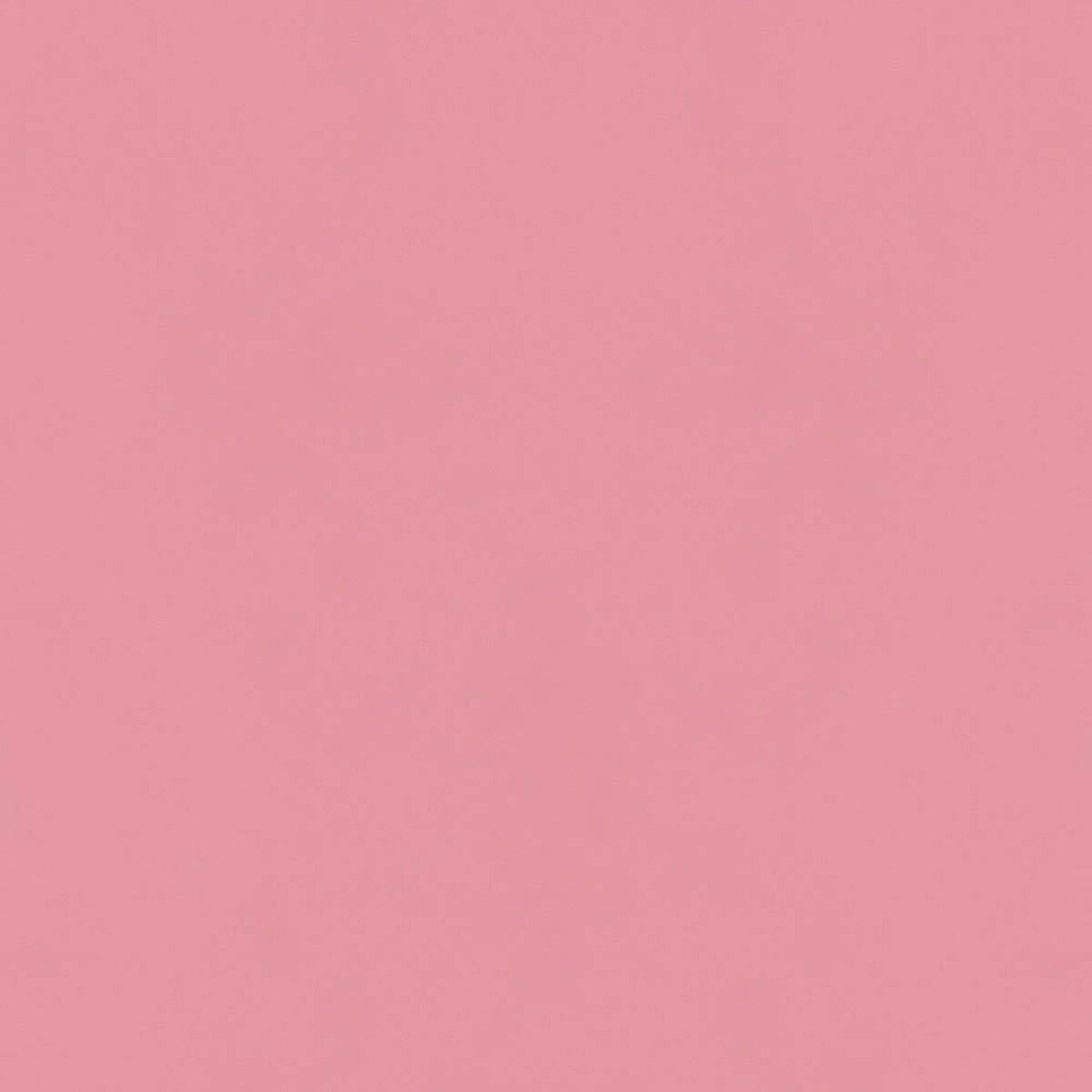Hatte Me! Palette | 20 Peaches Hatte Me! Palette | 20 Peaches